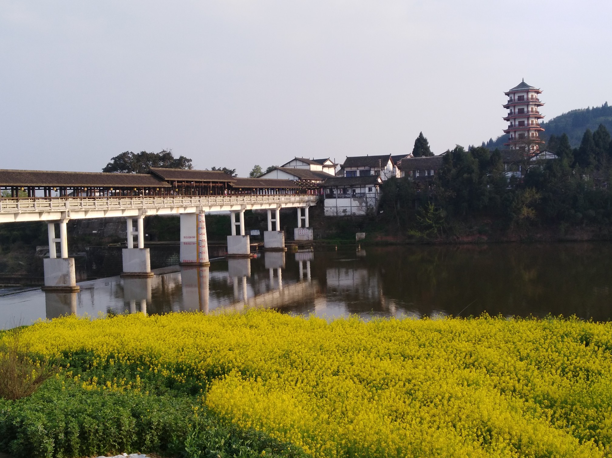 六养圣地 花漾潼南～陈抟故里崇龛菜花节