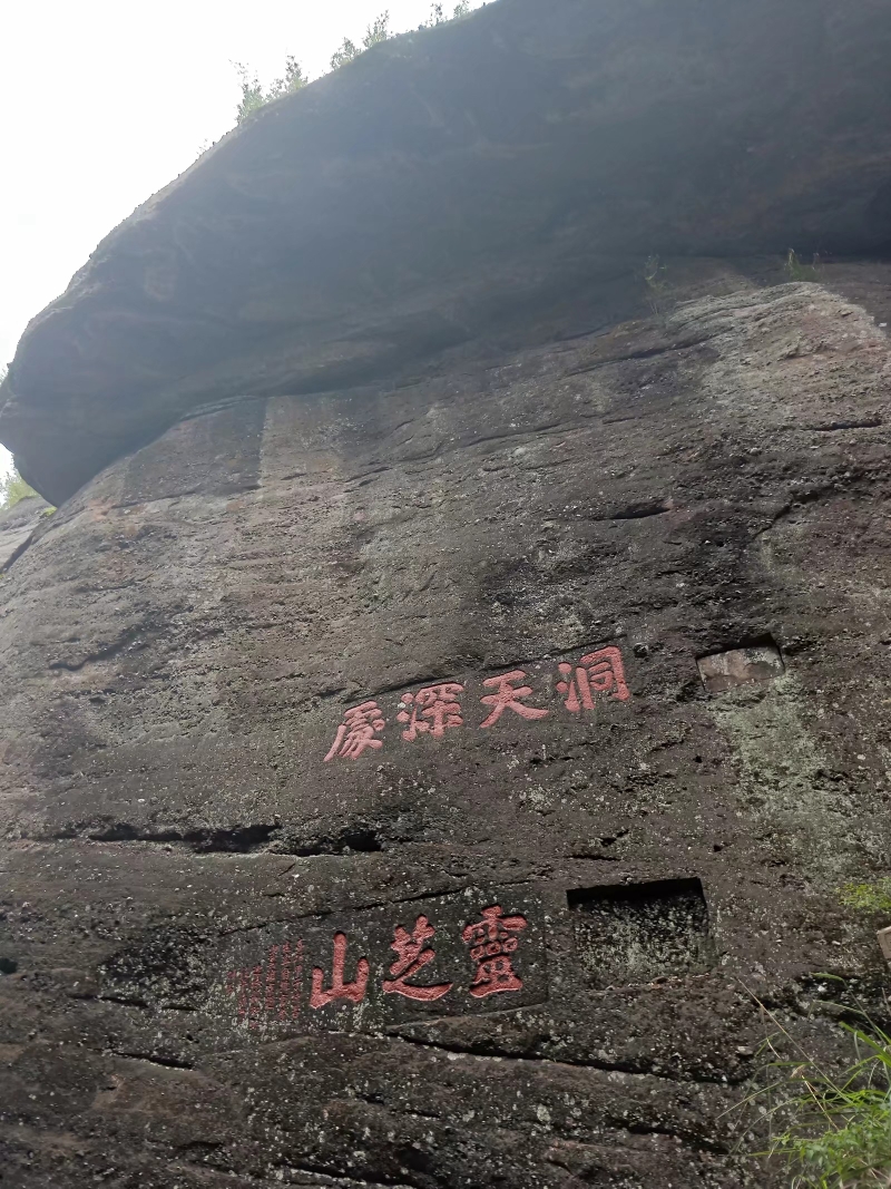 "生命之根"与"生命之门"赋予冠豸山之生命,大自然之奇妙矣!