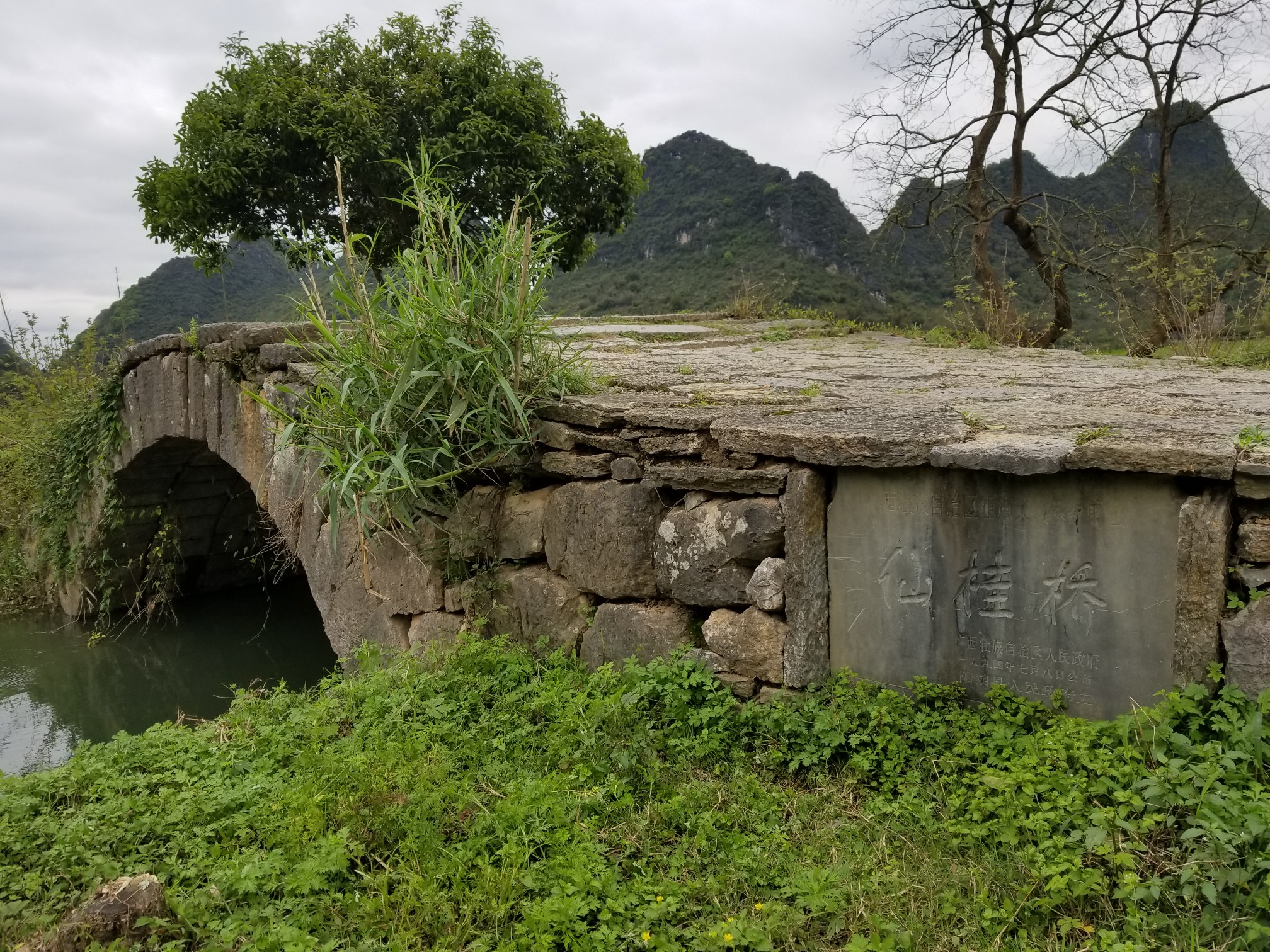 观桥村之仙桂桥,20190323,阳朔旅游攻略 马蜂窝