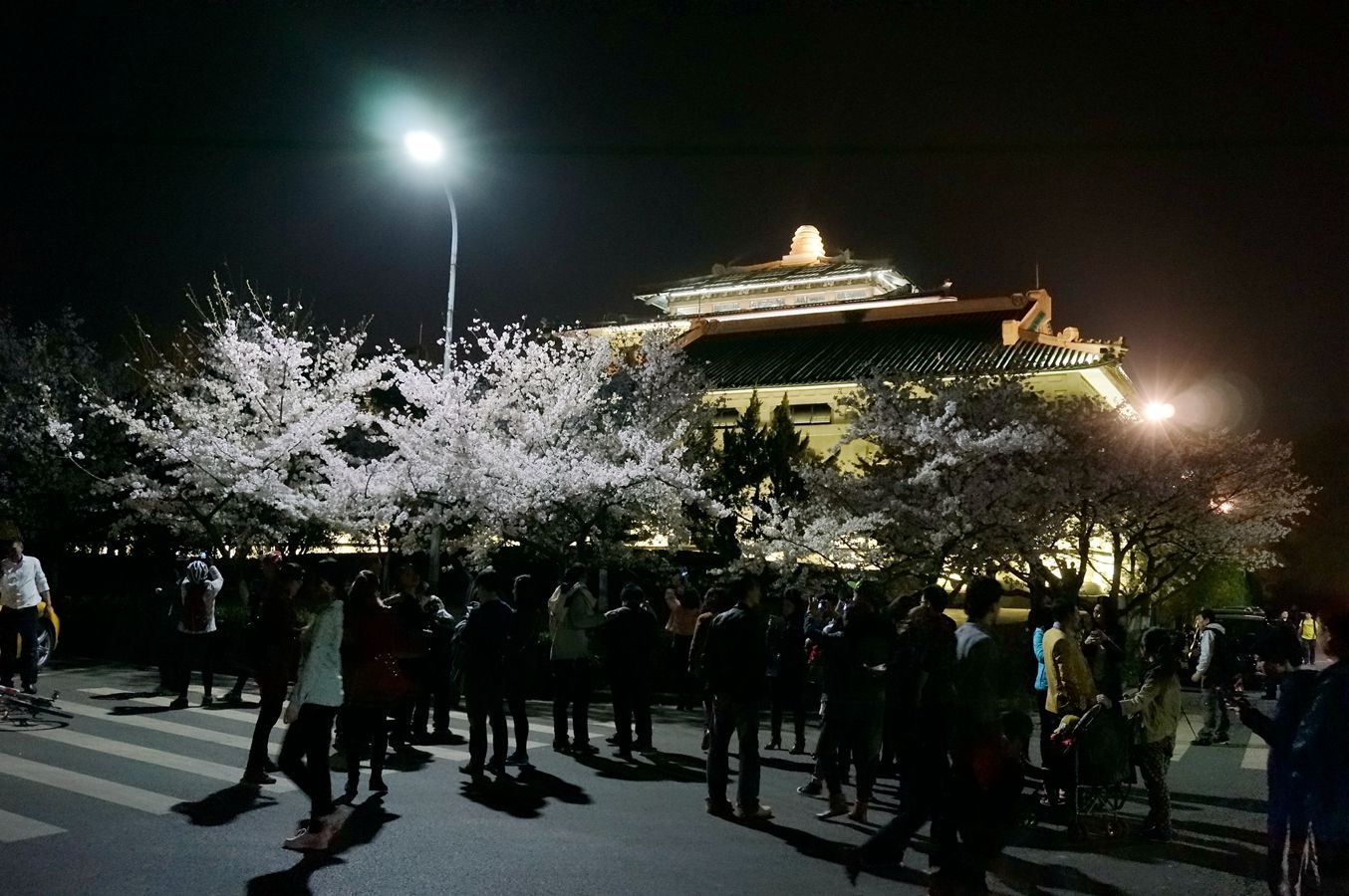 武汉游-武汉大学赏夜樱(相册)