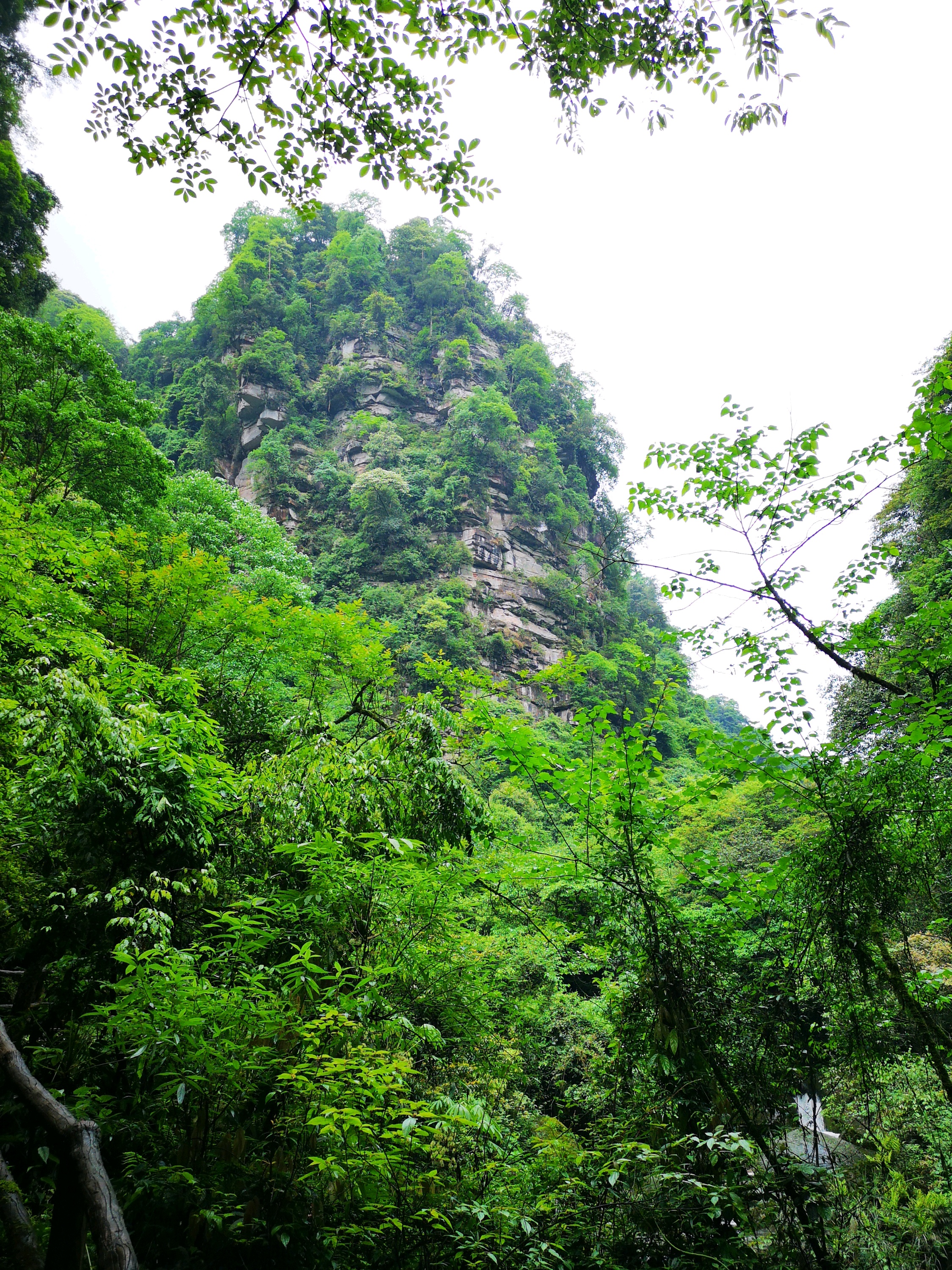 雅安景点介绍,雅安旅游景点,雅安景点推荐 - 马蜂窝