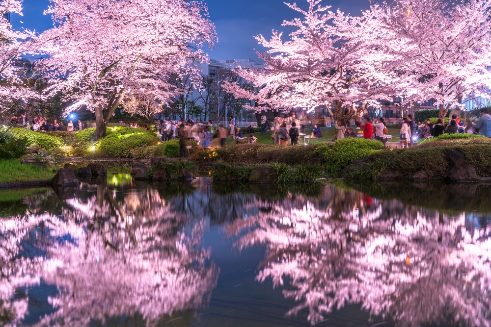 日本樱花季第一趴东京 在小众地感受樱花烂漫