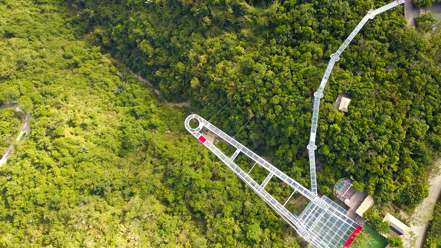 玻璃栈道 网红秋千/呀诺达雨林文化旅游区(简称呀诺达