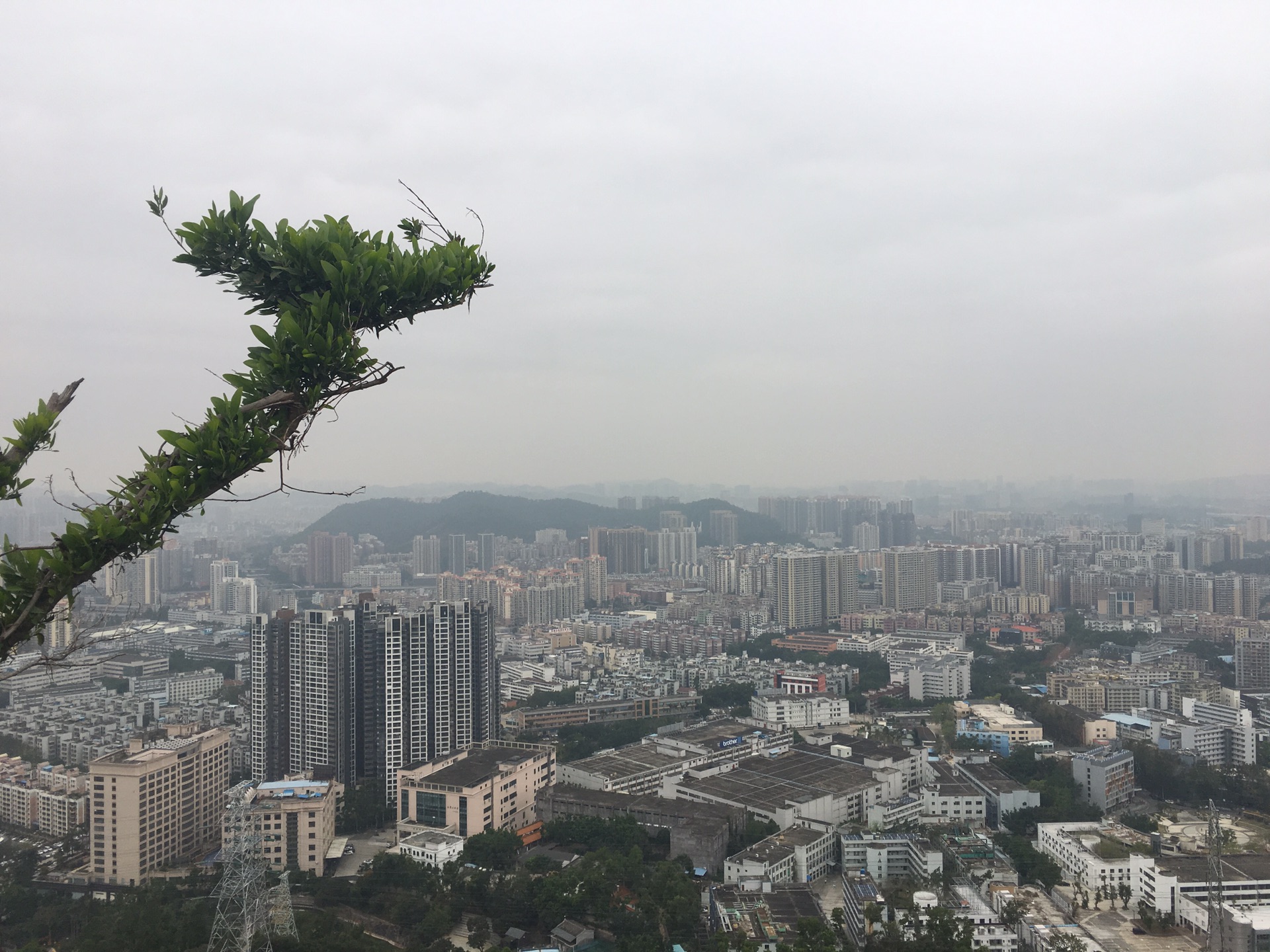 探索深圳之求水山公园