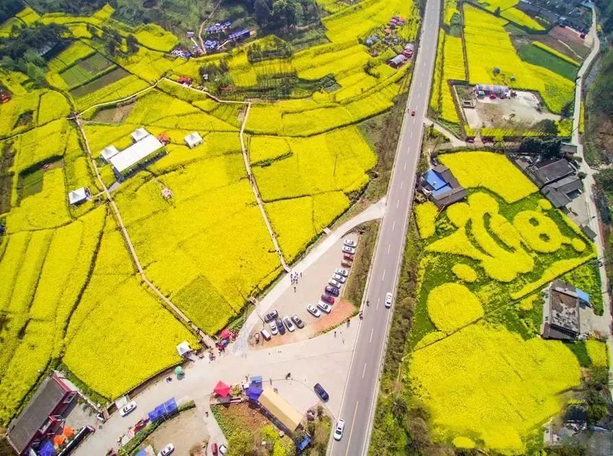 崇州重庆路,有中国最美乡村公路之称.
