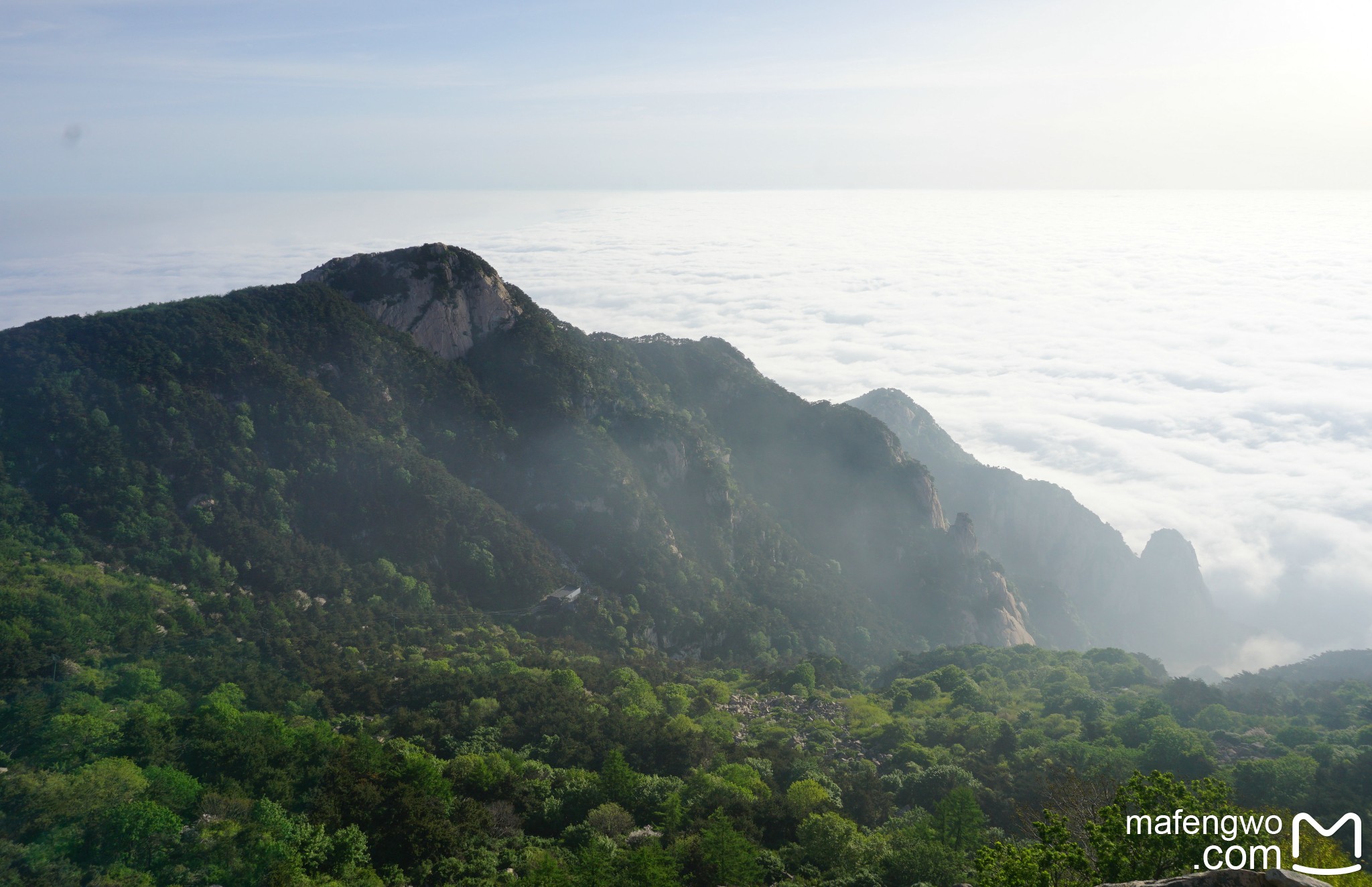 山东四日行之二:泰山上(赏泰山四大奇观——日落又日出,云海衬花海)