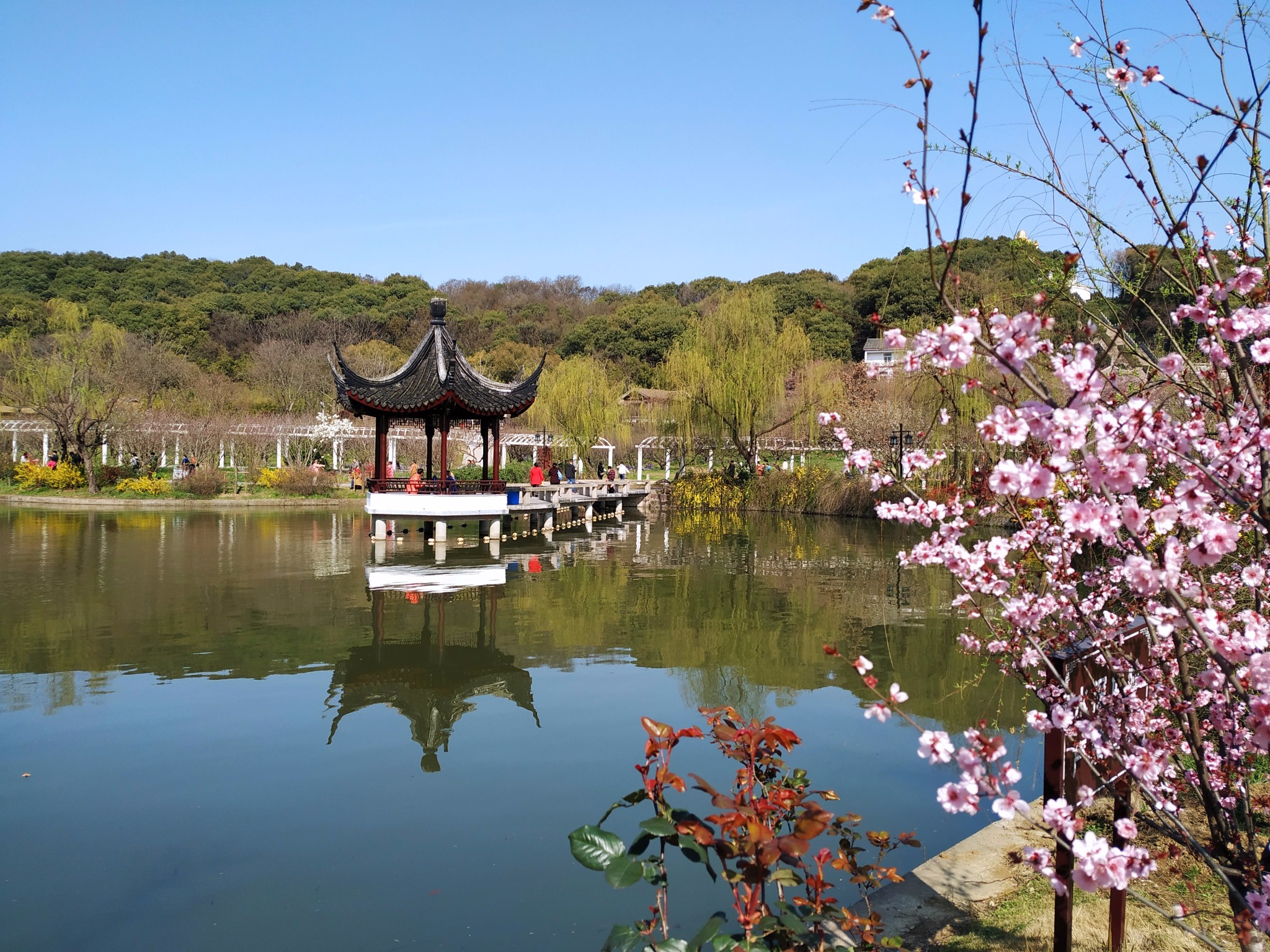 苏州旅游攻略【江南春之苏州】湖光山色行春桥,古巷水街都挺好