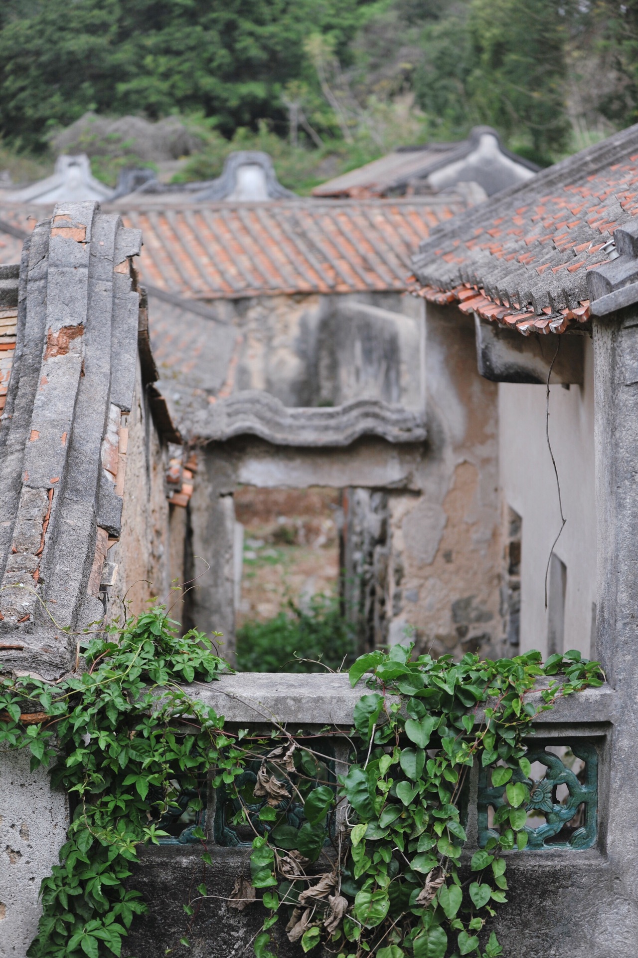 潮汕乡村——凤岗村