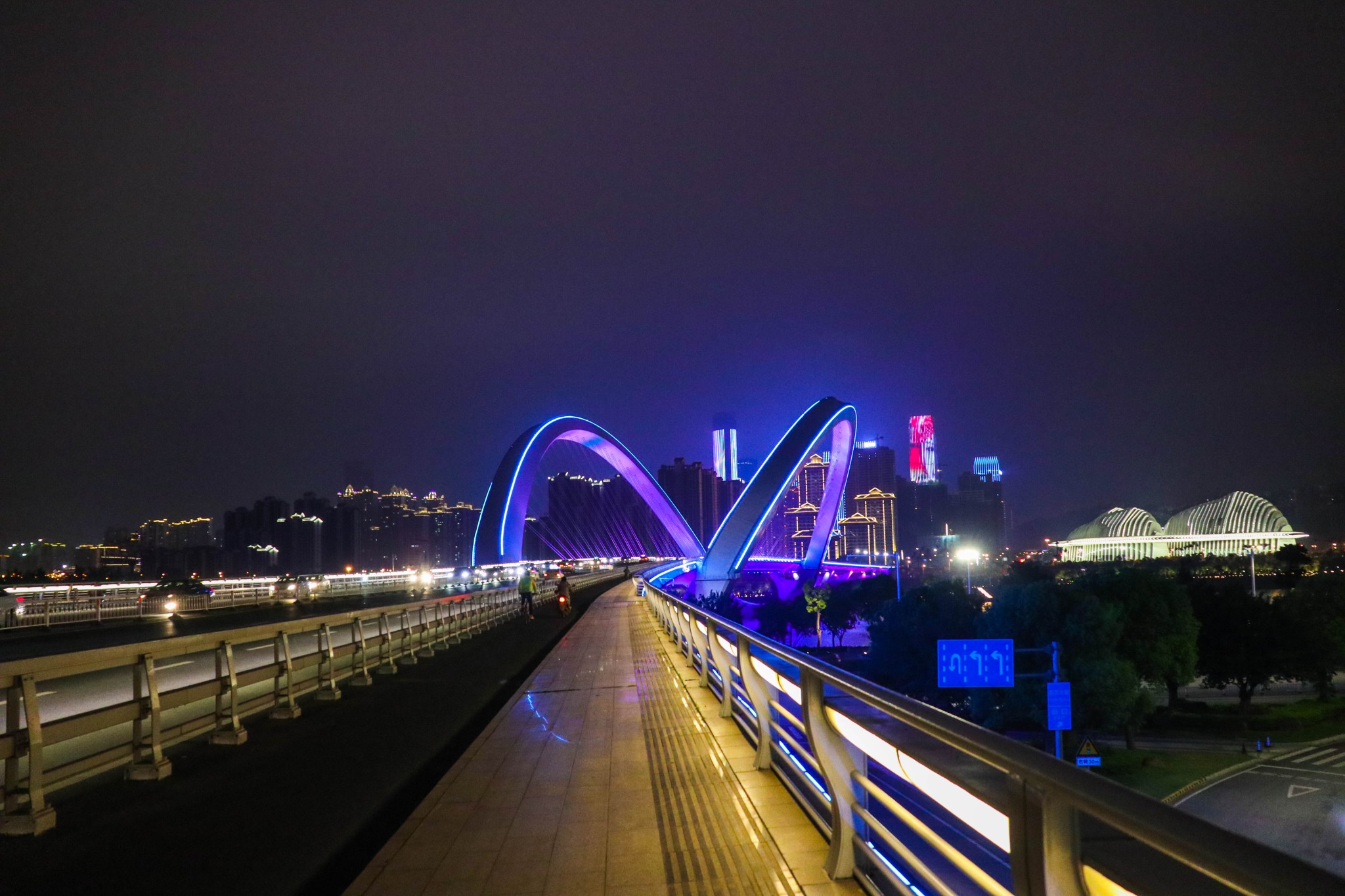 带你走南宁园博园,外加南宁大桥夜景【359p】