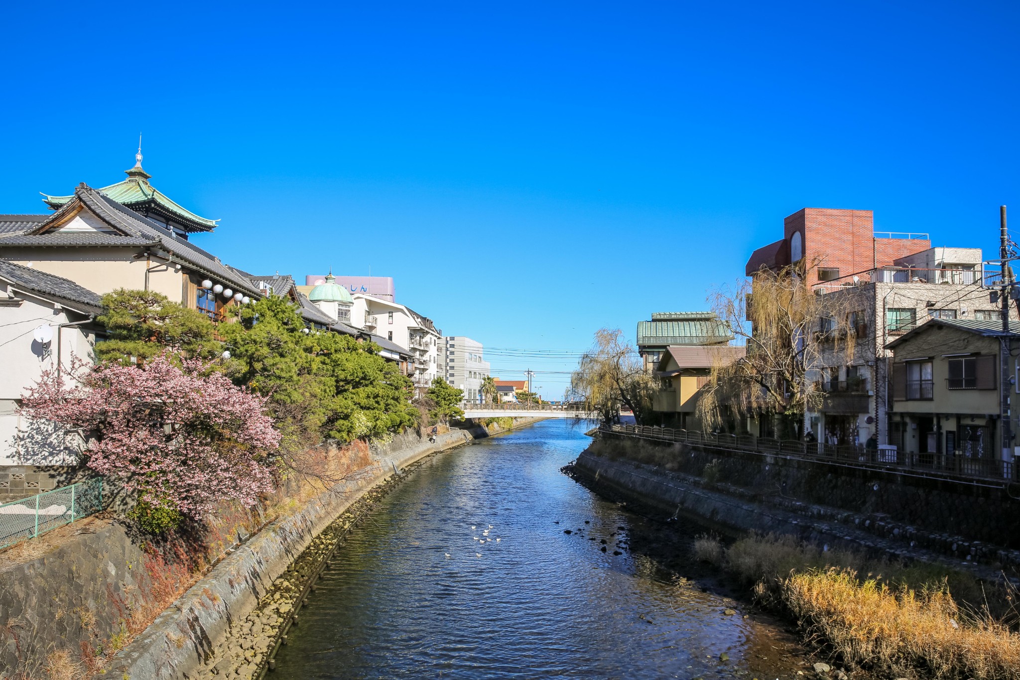 界 伊东 | 初见伊豆半岛,小众日式温泉渔村