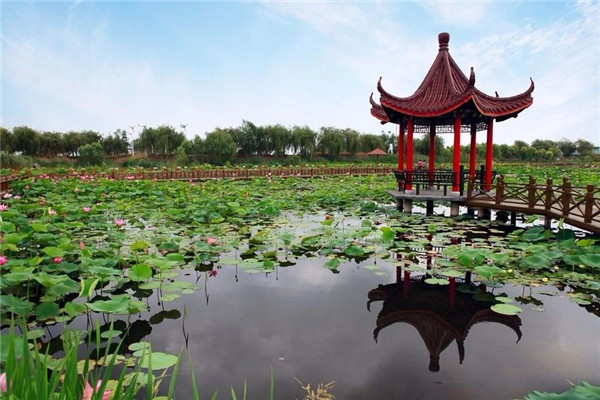 宿迁泗洪洪泽湖湿地景区电子票