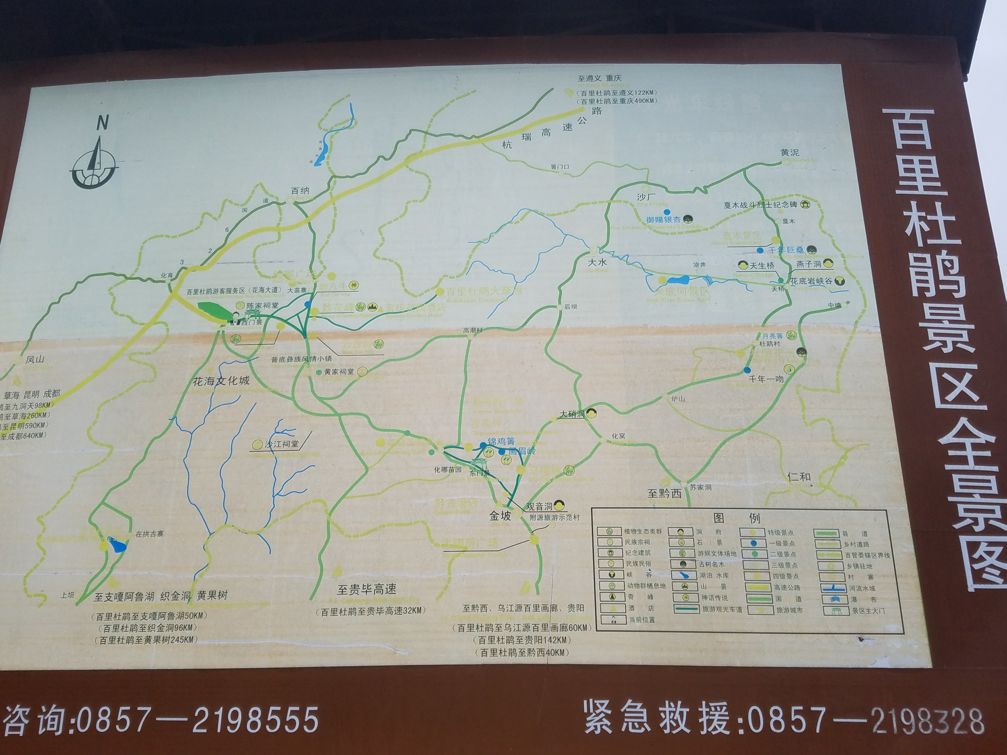 大美无言贵州毕节百里杜鹃