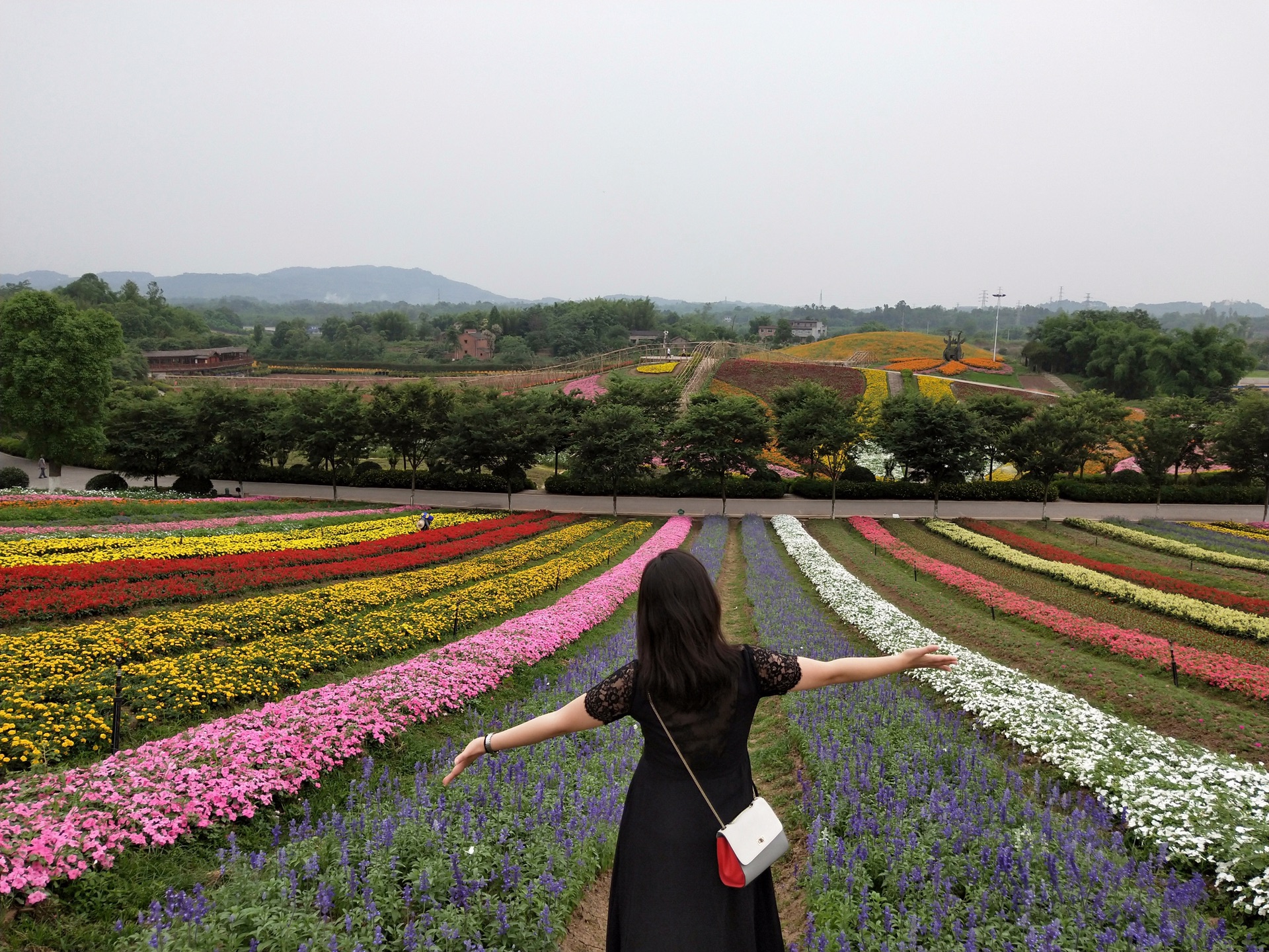 黄桷门奇彩梦园        