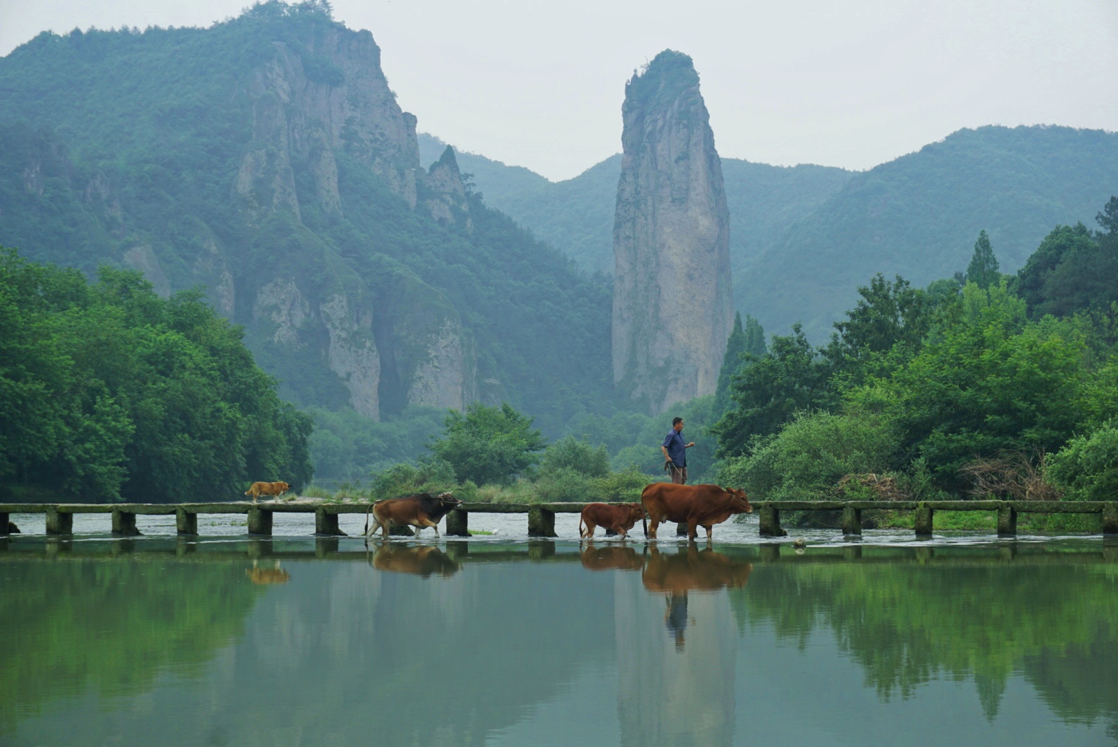 day3 缙云仙都风景区