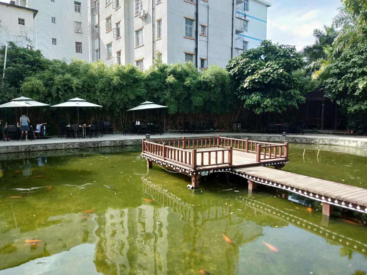 合浦槐园