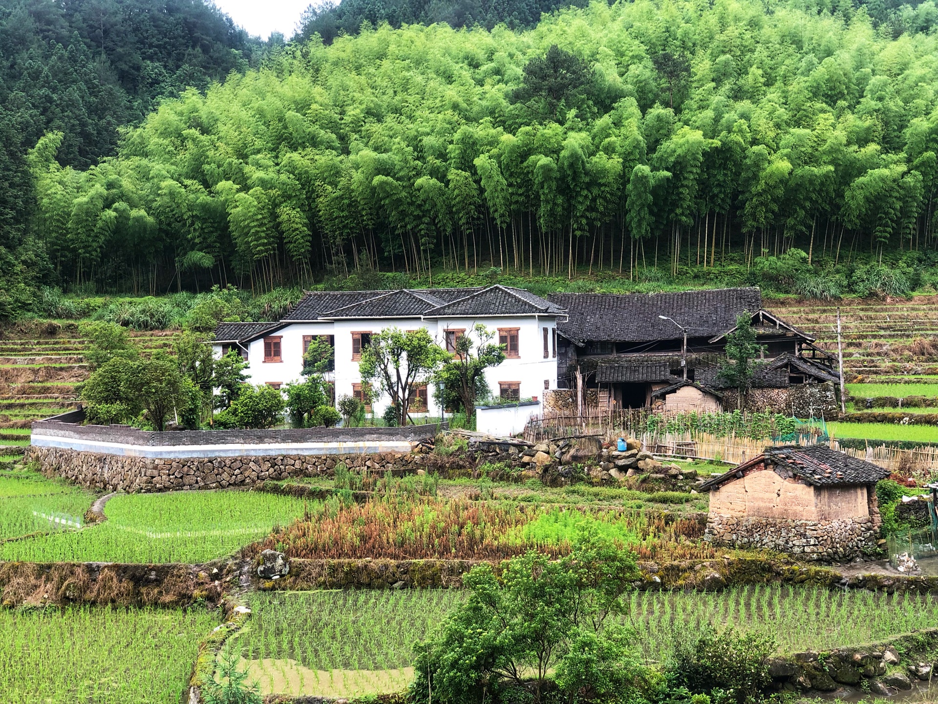 岭北古村～隐藏在泰顺的小众秘境