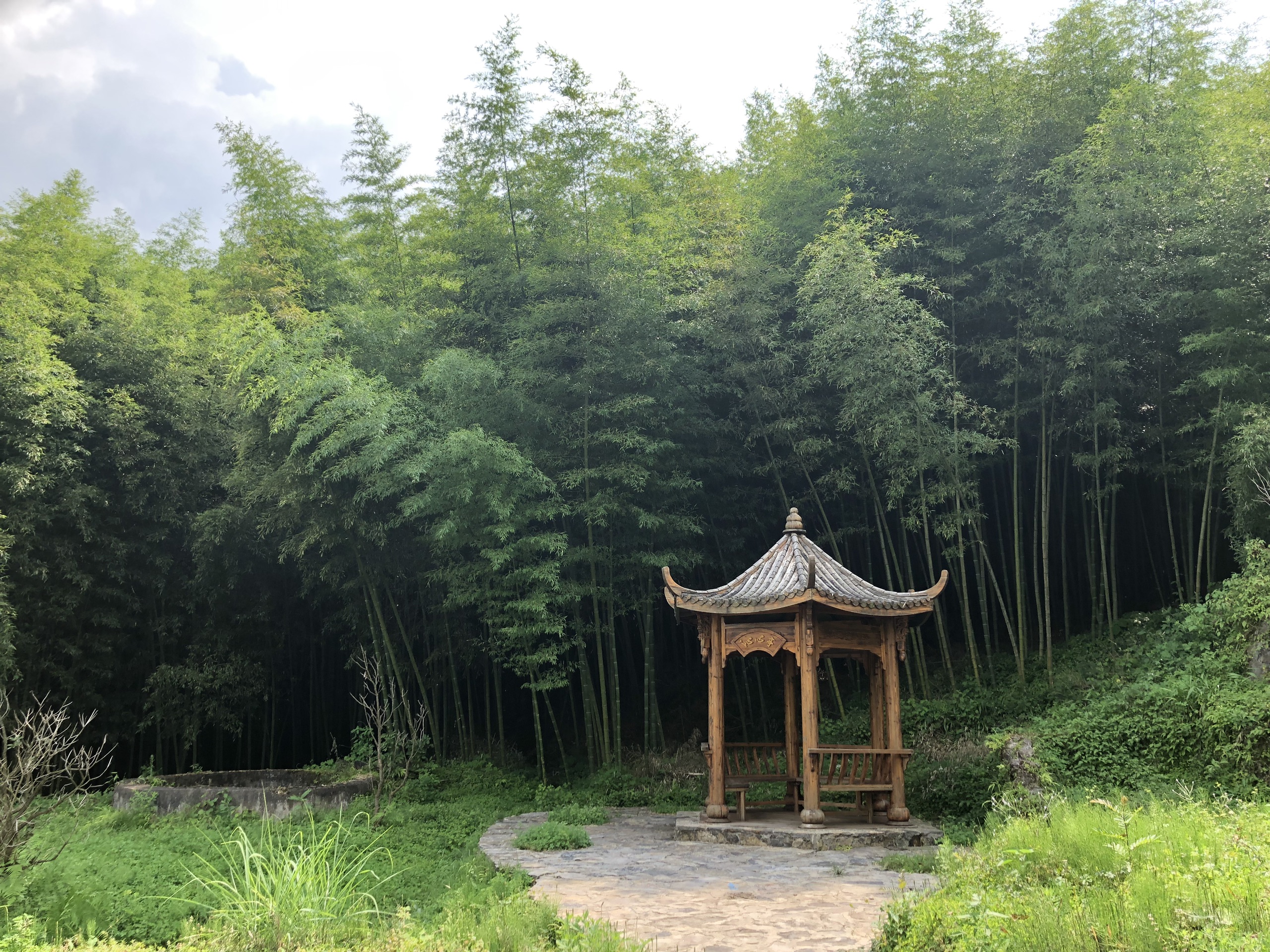 大洞竹海风景名胜区