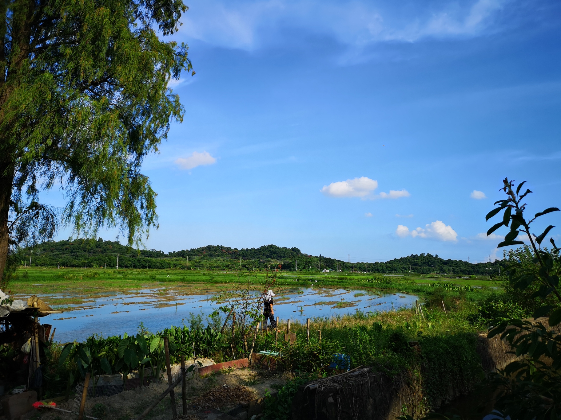 周末休闲游之中山崖口村