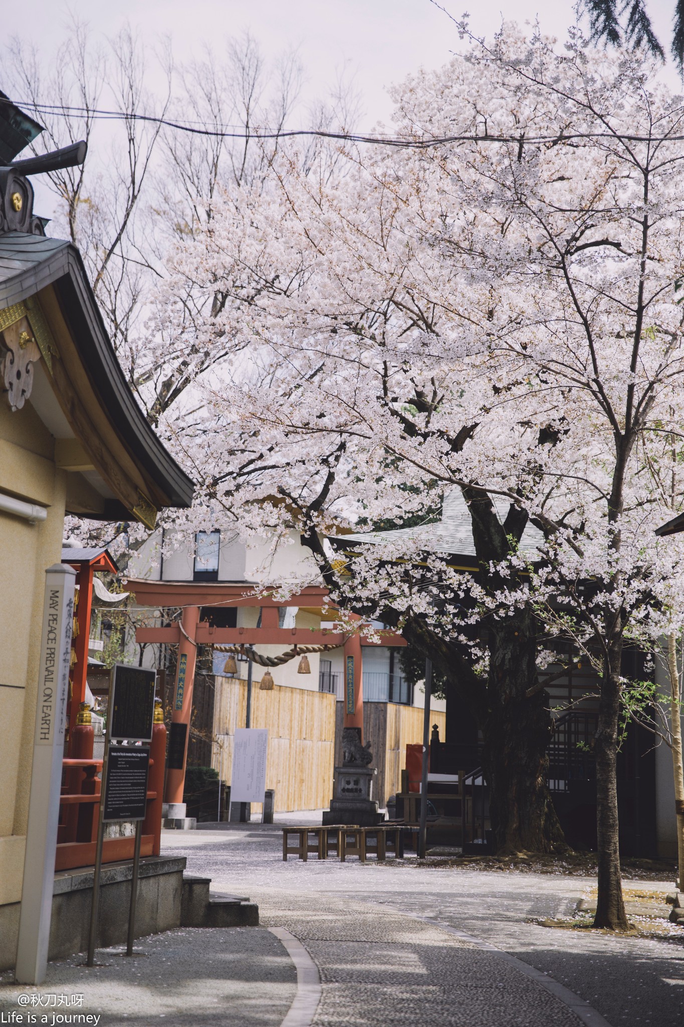 须贺神社          