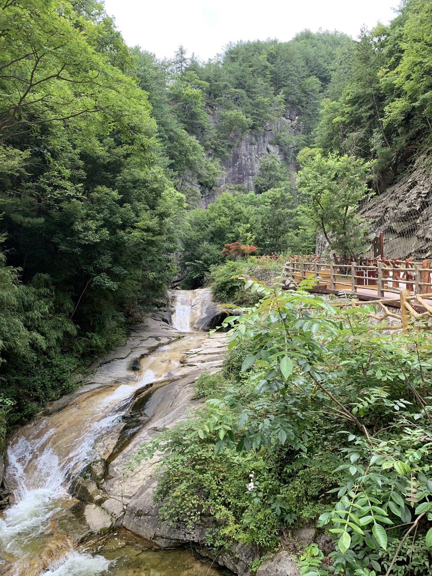 佛坪旅游—熊猫谷