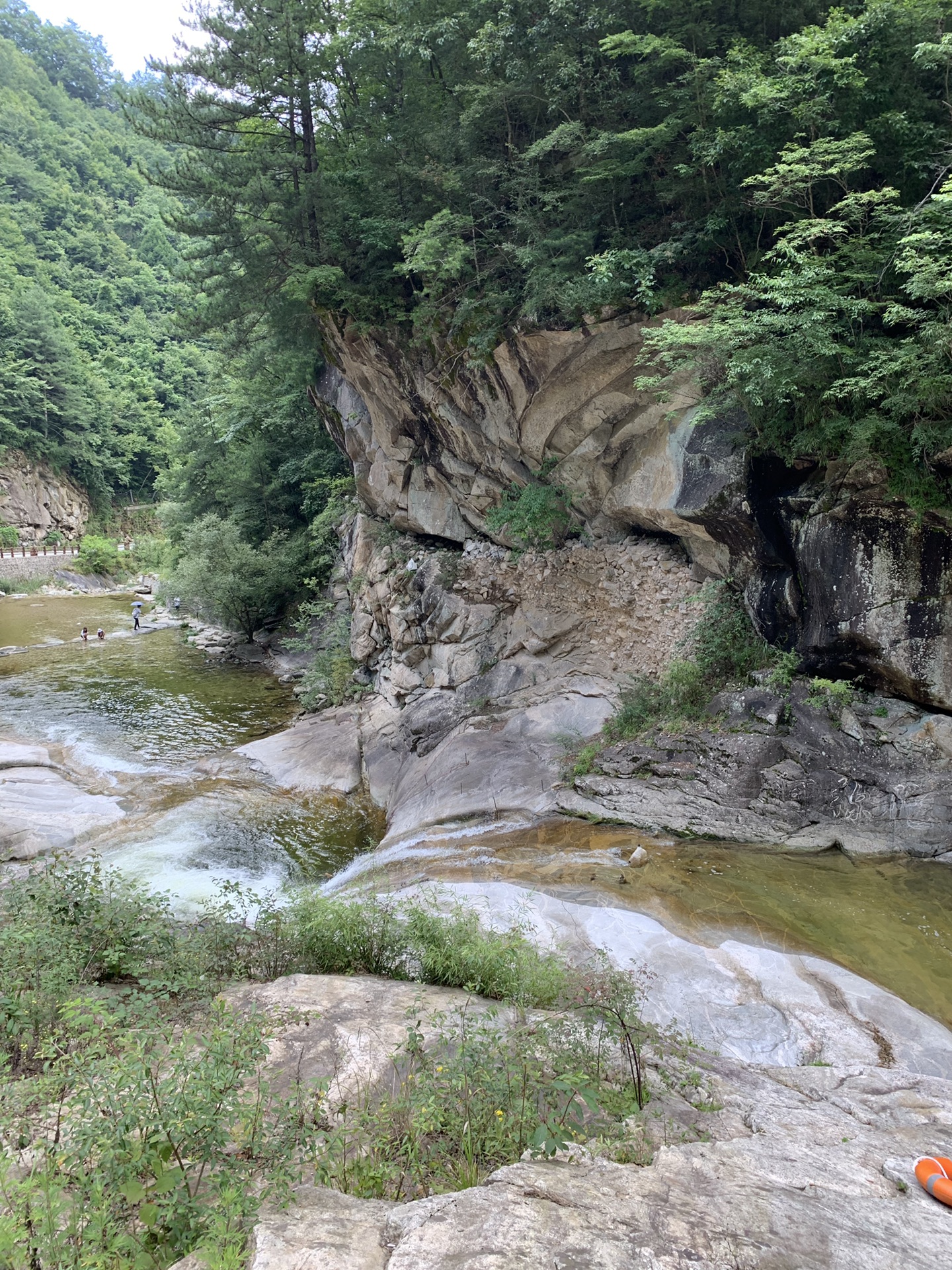 佛坪旅游——熊猫谷