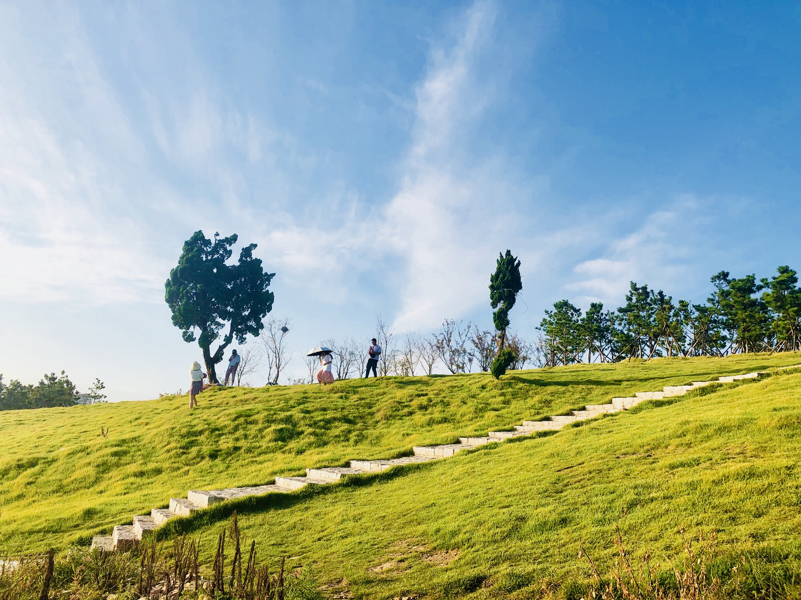 青岛小麦岛公园攻略,小麦岛公园门票_地址,小麦岛公园