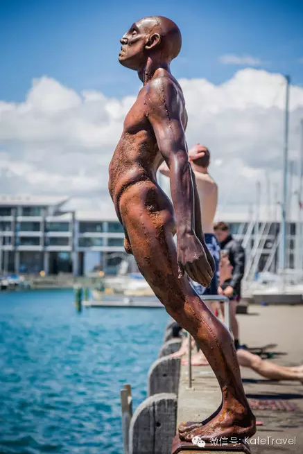 9月下旬纠结是去奥克兰的auckland还是wellington