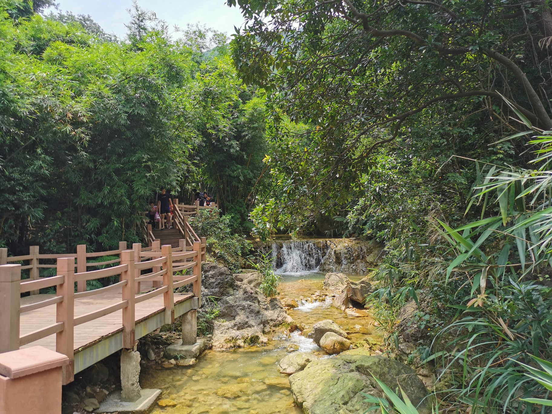 高明南海湾森林生态园,鹤山茶山一日游