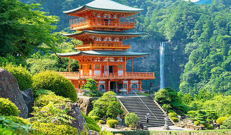 日本和歌山美味喵趣一日游 和歌山猫站长 贵志站 伊太祈曾站 黑潮市场金枪鱼解体秀 世界遗产高野山 金刚峰寺 壇上伽蓝 心斋桥 马蜂窝自由行