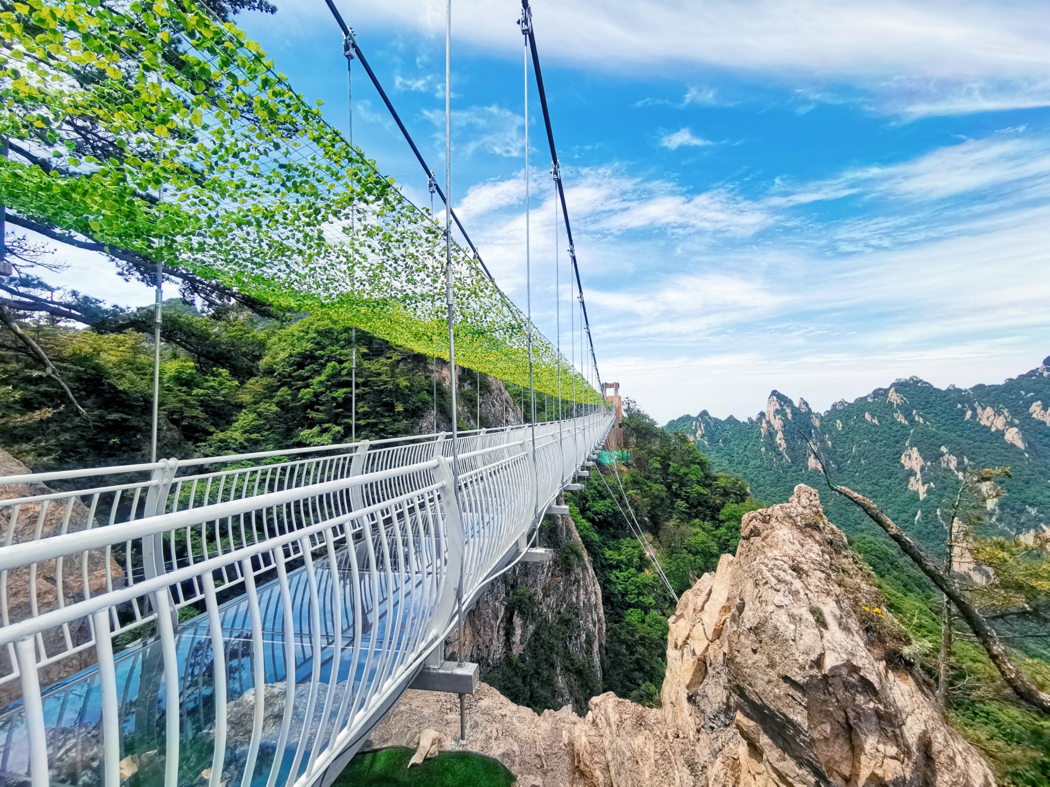 烈日炎夏 去老君山消暑赏景吧!