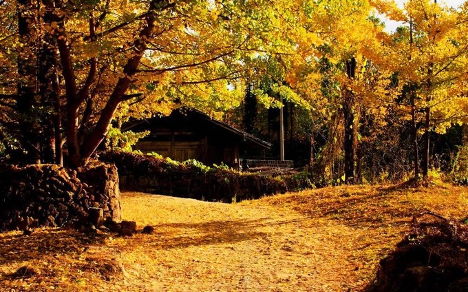 甘肃天祝天堂村天堂寺寄语