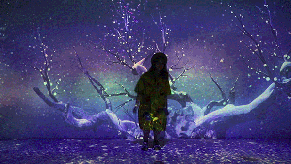 「土耳其」星光,神奇动物…成都这片田园无法低调了!