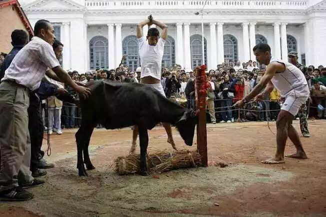 什么时候去尼泊尔最好