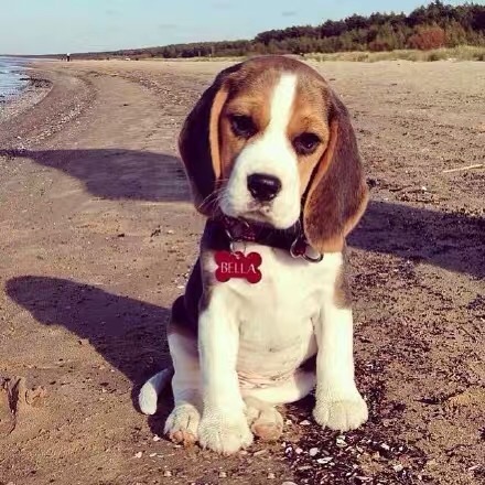 北京娱乐-君悦国际