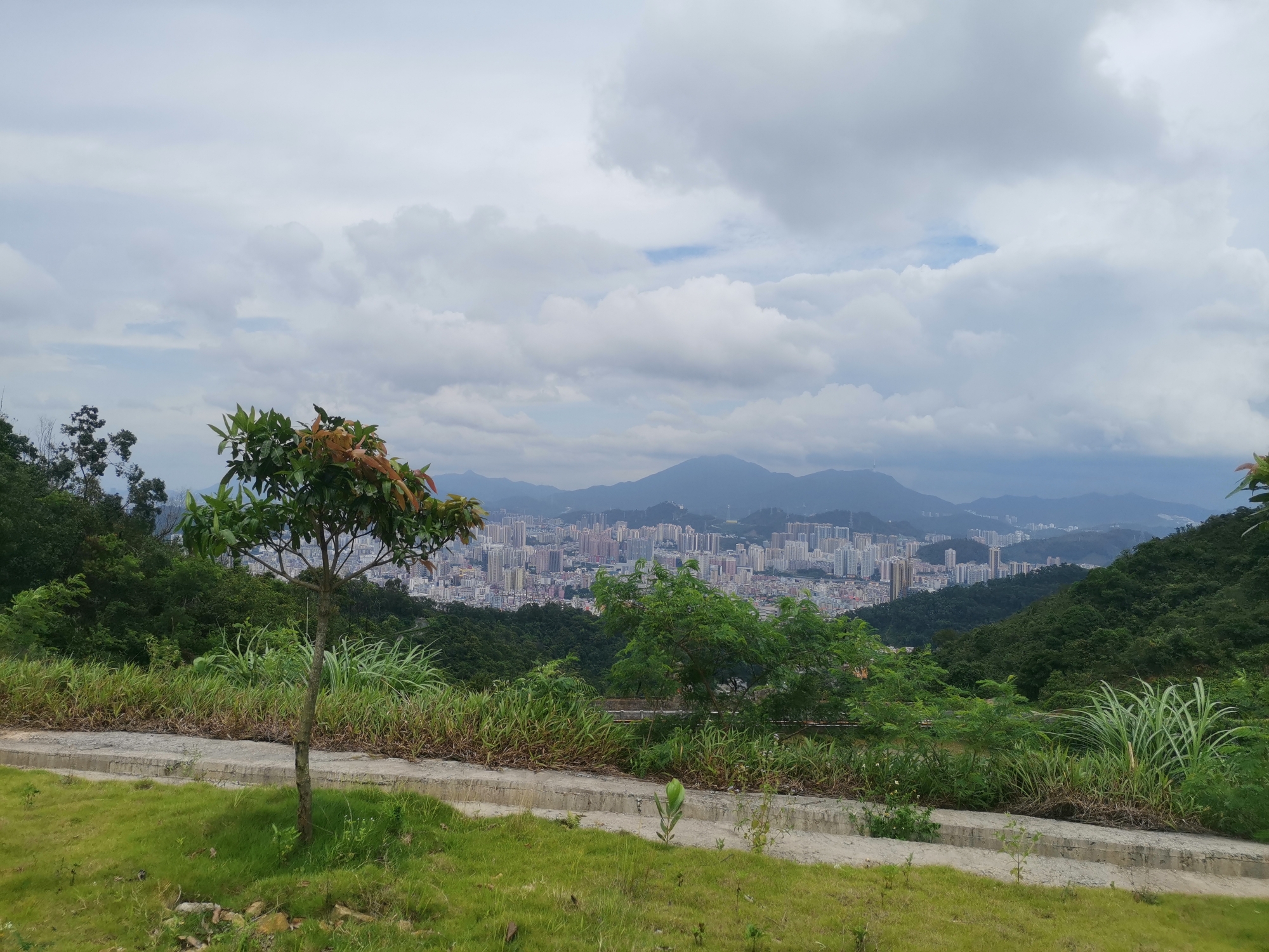 银湖山郊野公园-文谷庄园