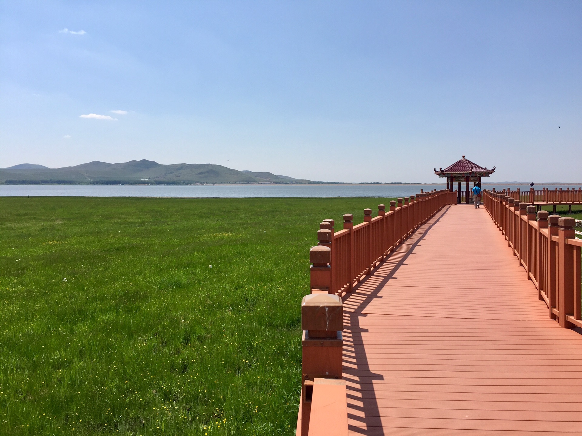 憩马野田外,萋迷碧草原——游沽源闪电湖湿地公园