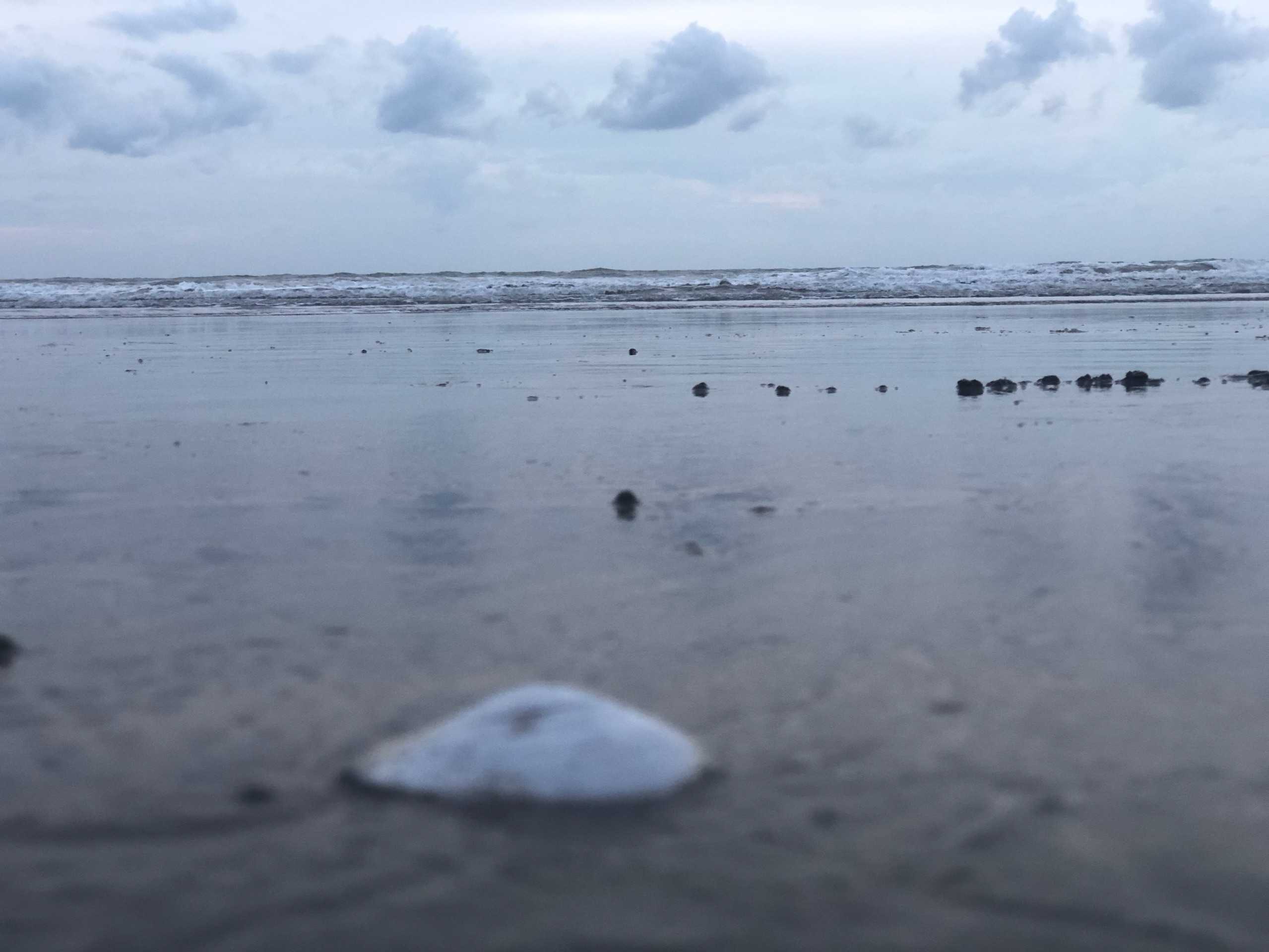 亚庇娱乐-海伦美容按摩