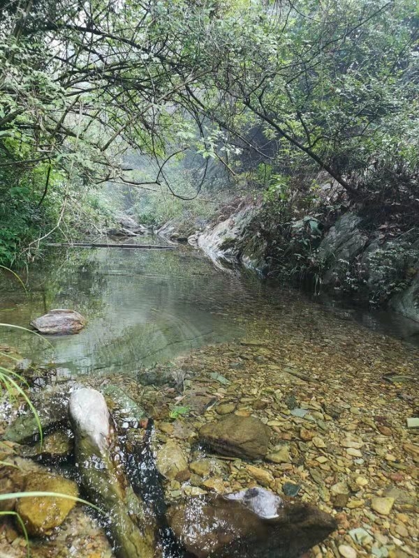 湖南浏阳道吾山一日徒步,浏阳旅游攻略 - 马蜂窝