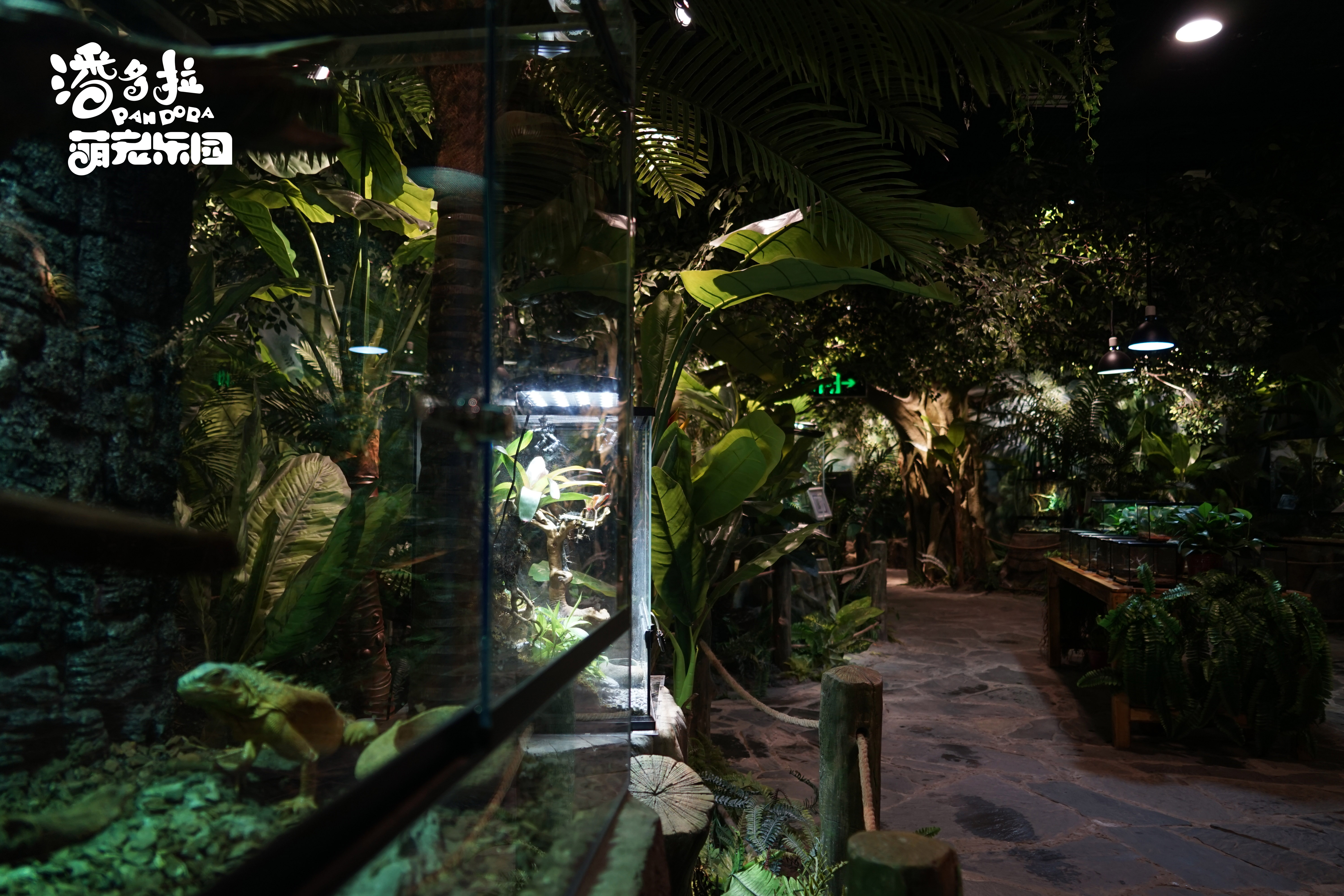 潘多拉萌宠乐园位于郑州市二七区二七路200号大商新玛特金博大店三楼