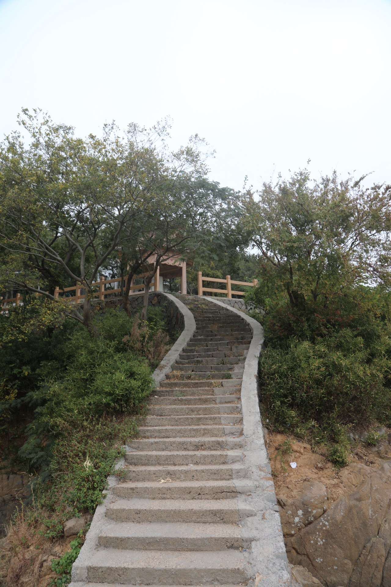 平湖九龙山国家森林公园南湾景区