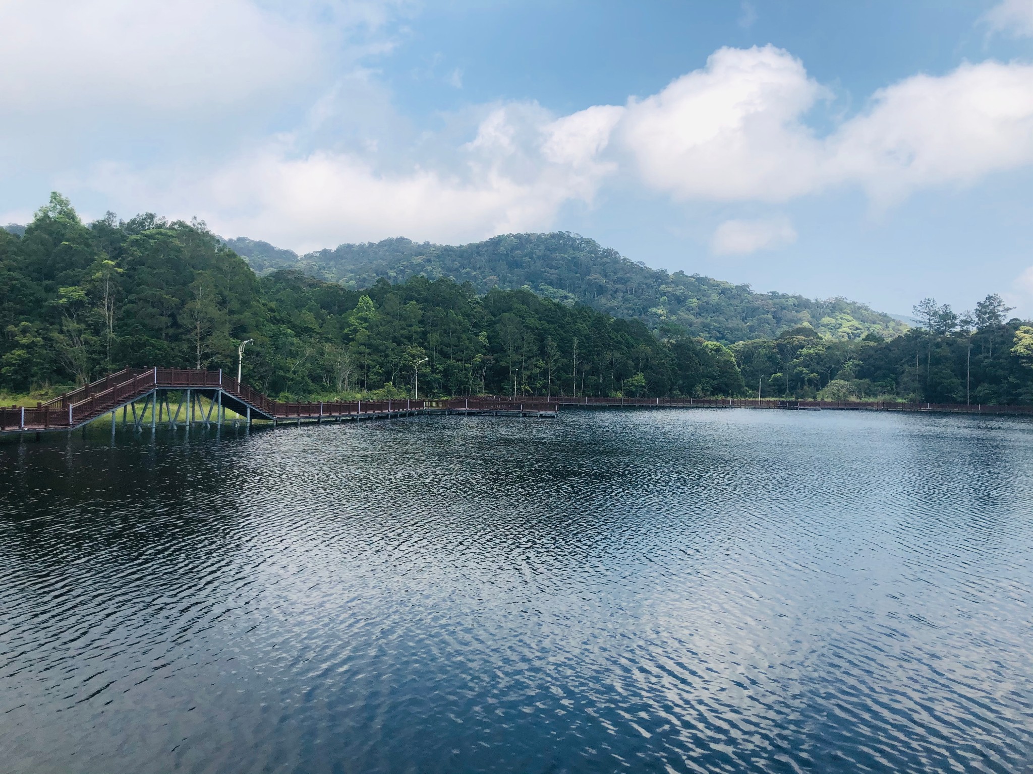 海南岛赿冬一一吊罗山国家森林公园