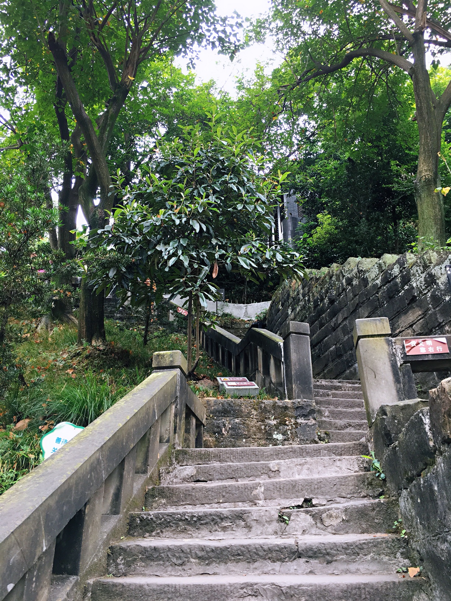 歌乐山国家森林公园-戴公祠