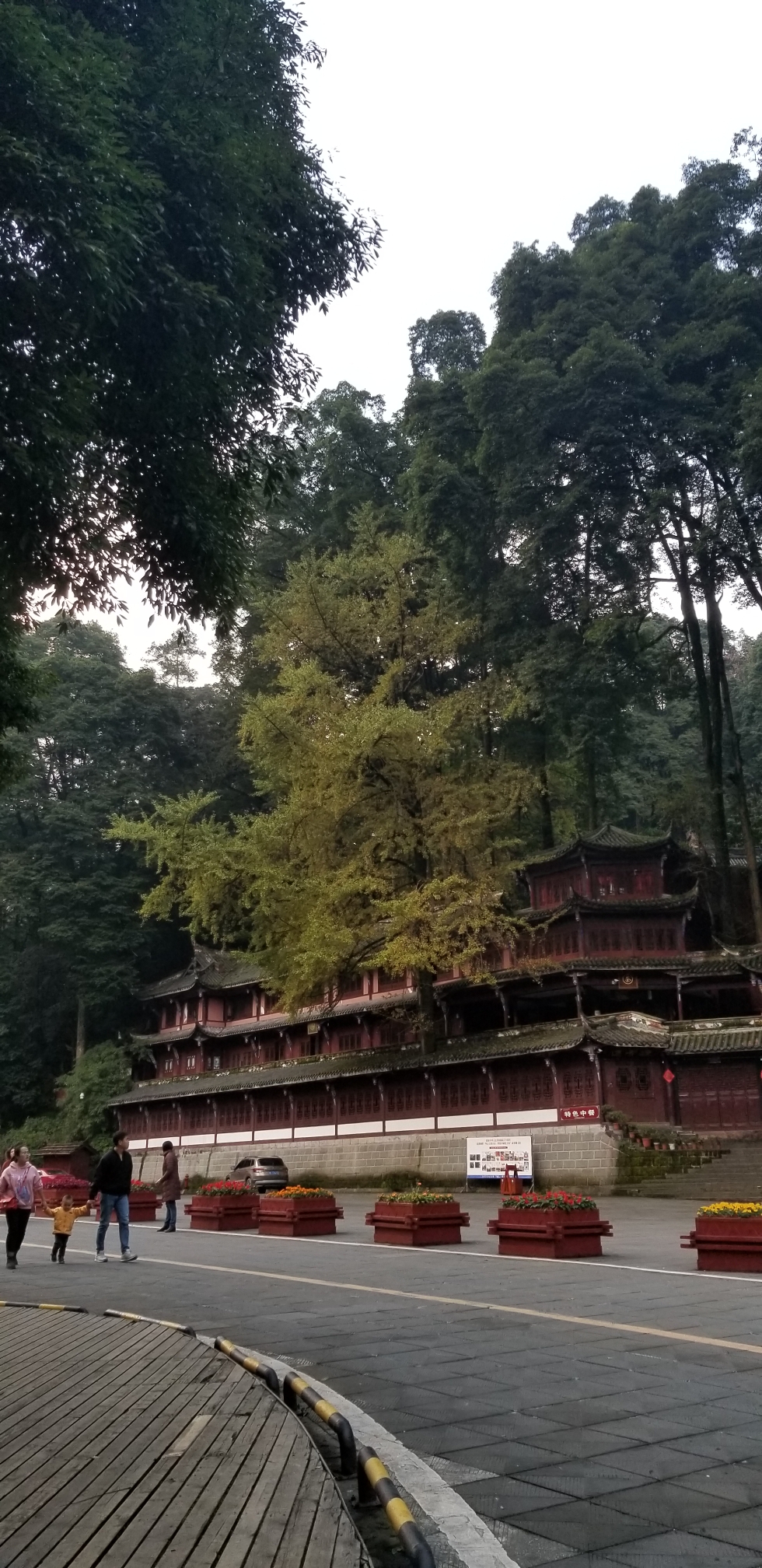 青城山前山一日游