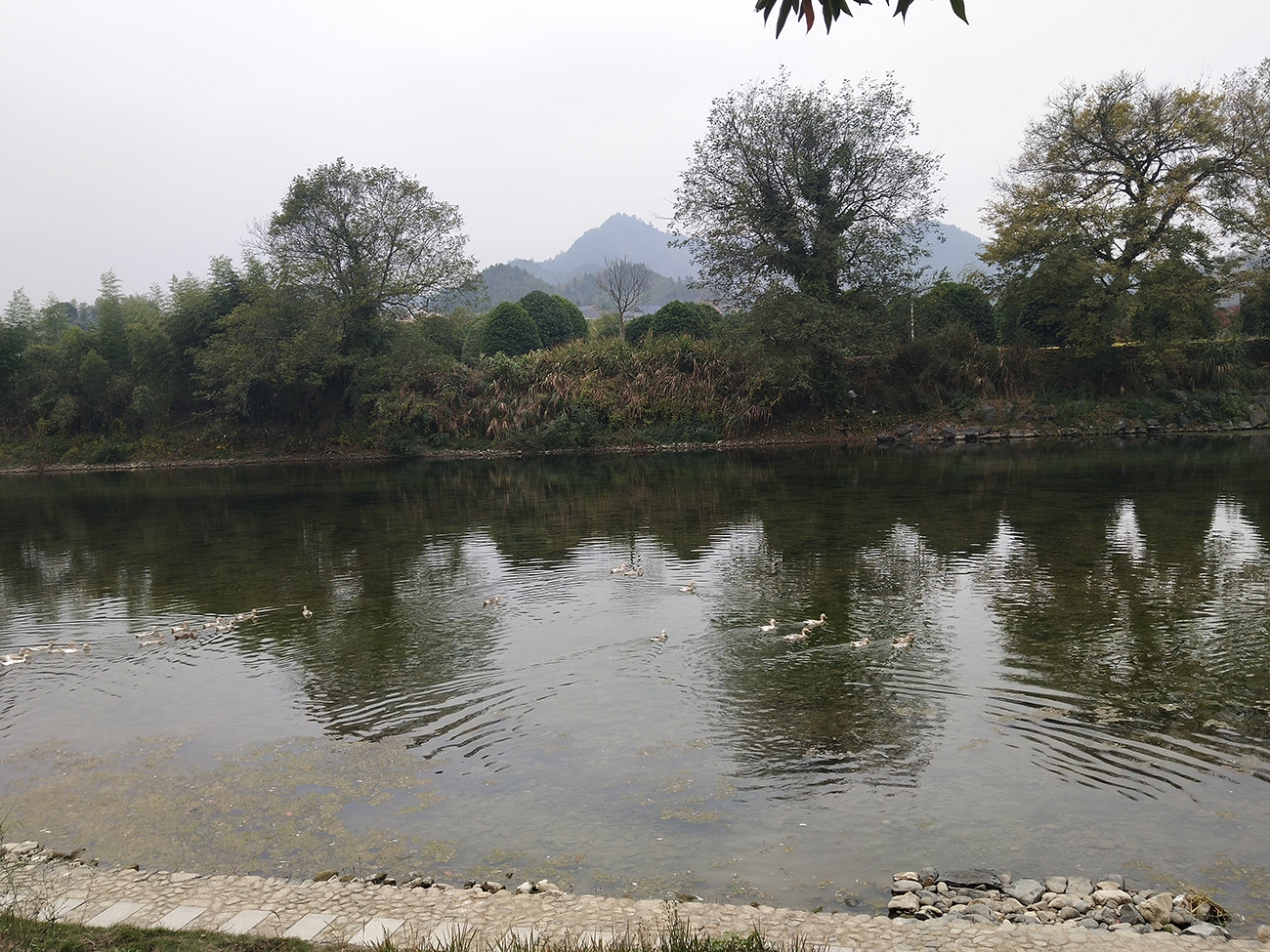 这个冬天与精彩华埠面对面