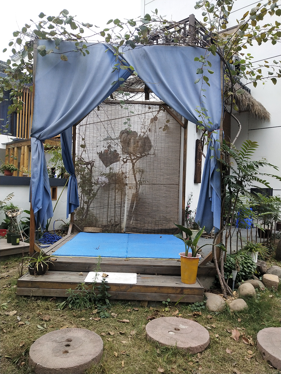 这个冬天与精彩华埠面对面