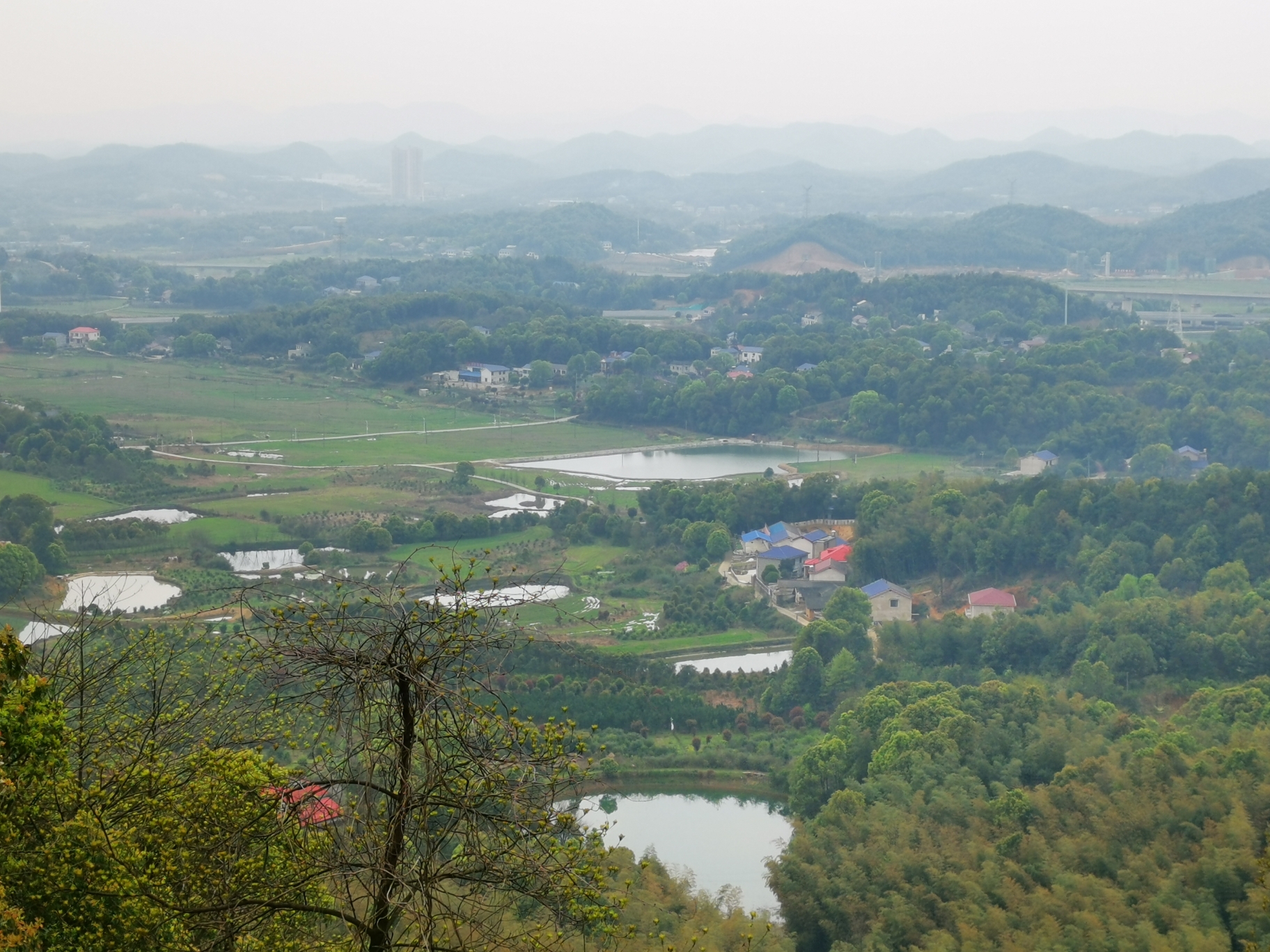 老长沙带你发现小众赏樱佳处望城玉湖公园乌山森林公园