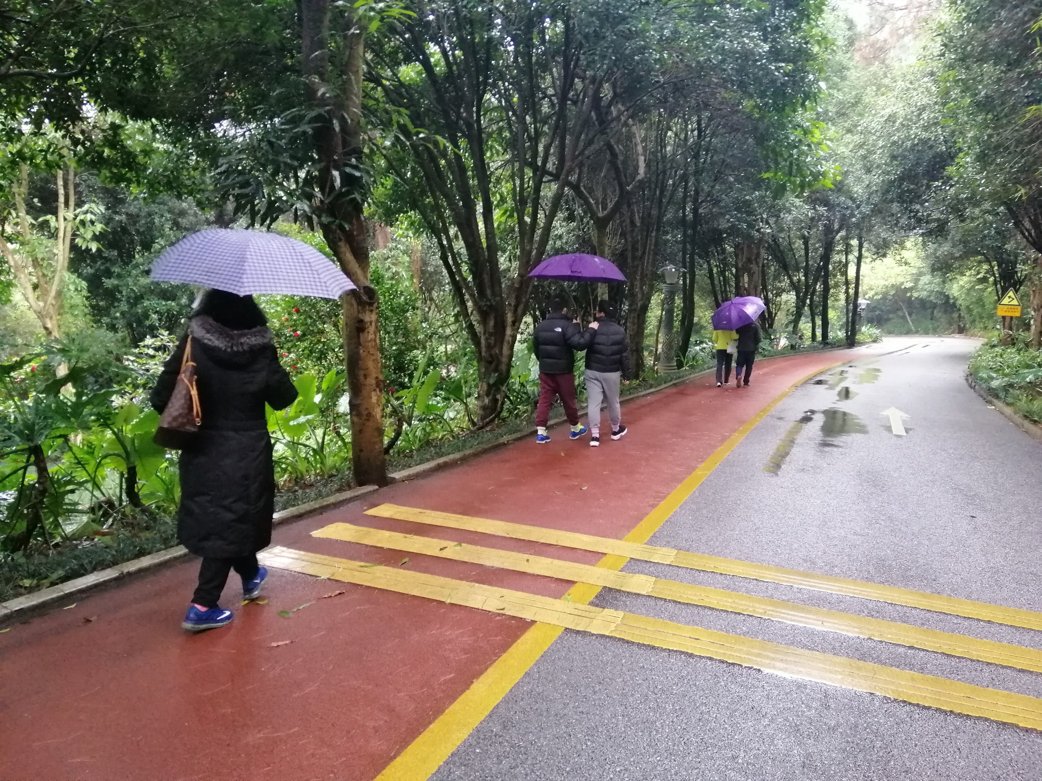 广西云南春游记