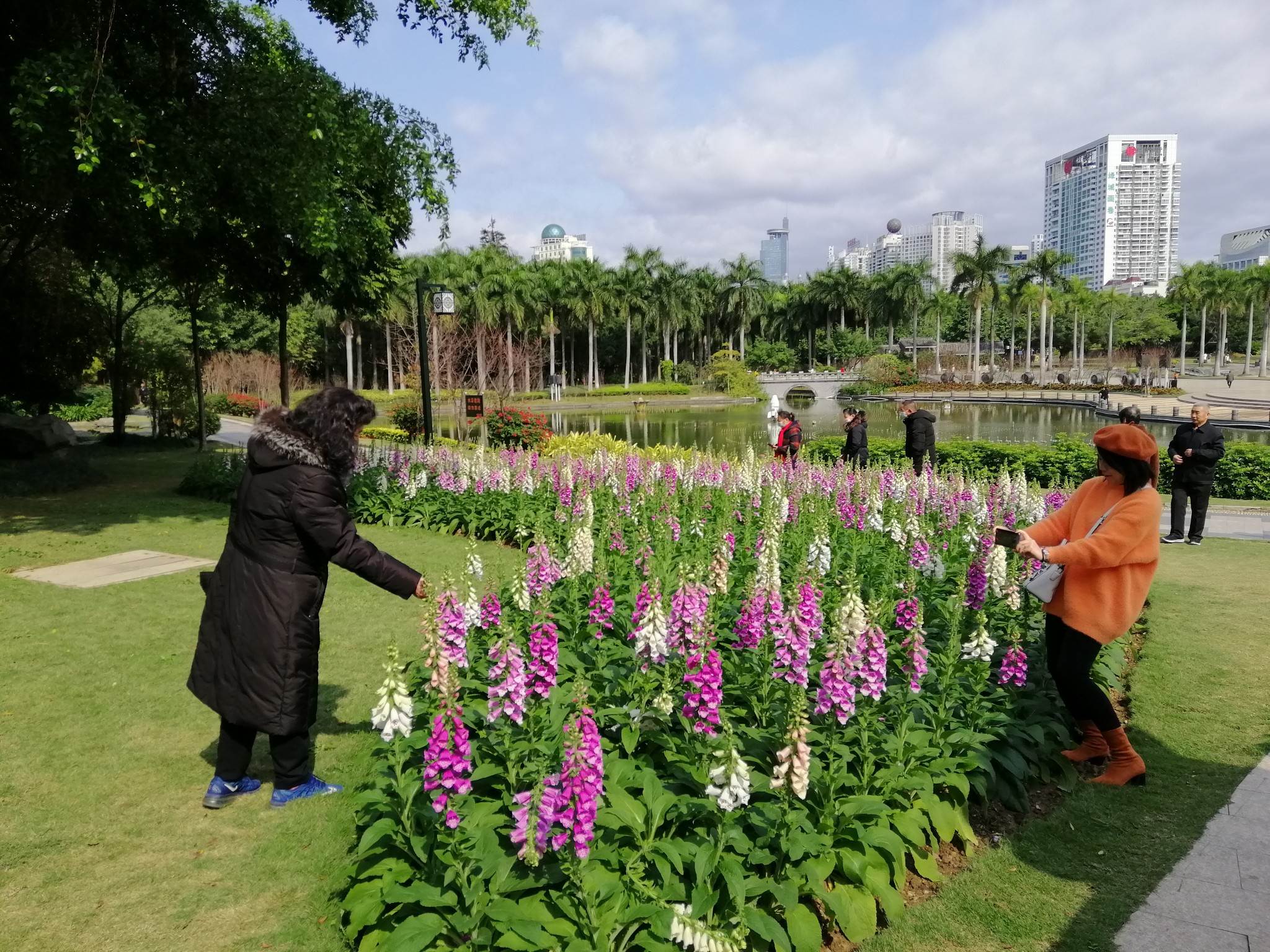 广西云南春游记