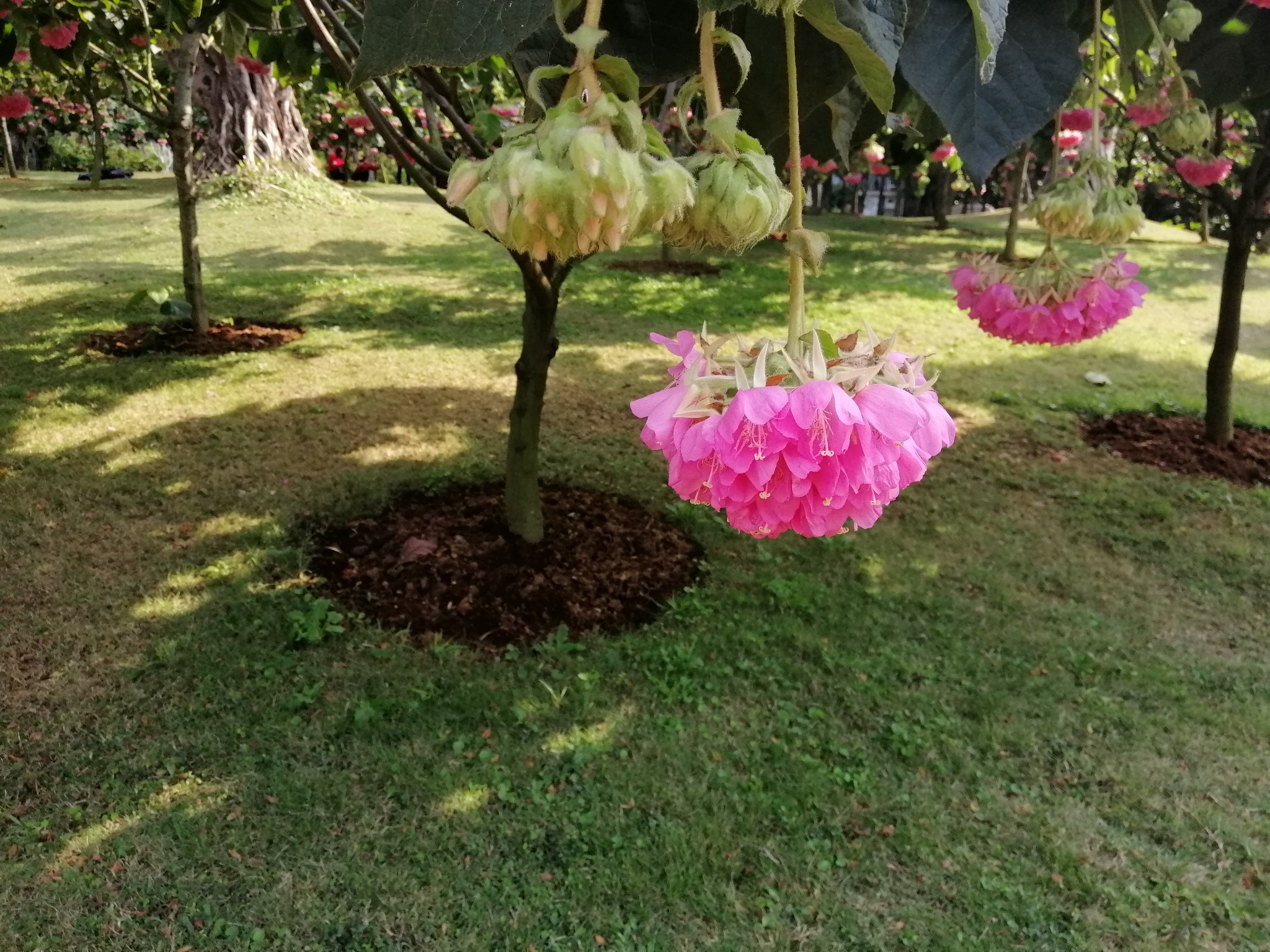 广西云南春游记