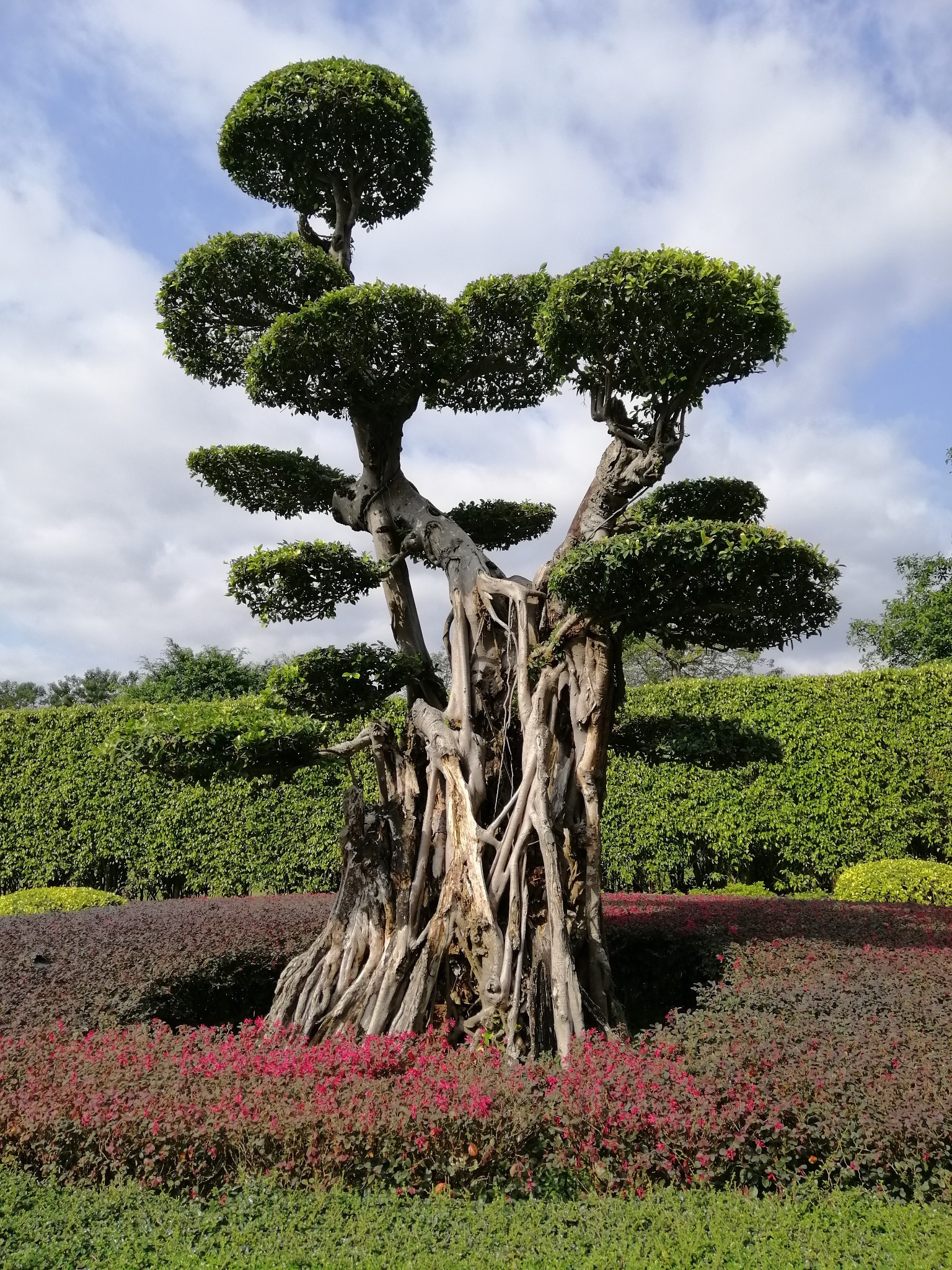 广西云南春游记